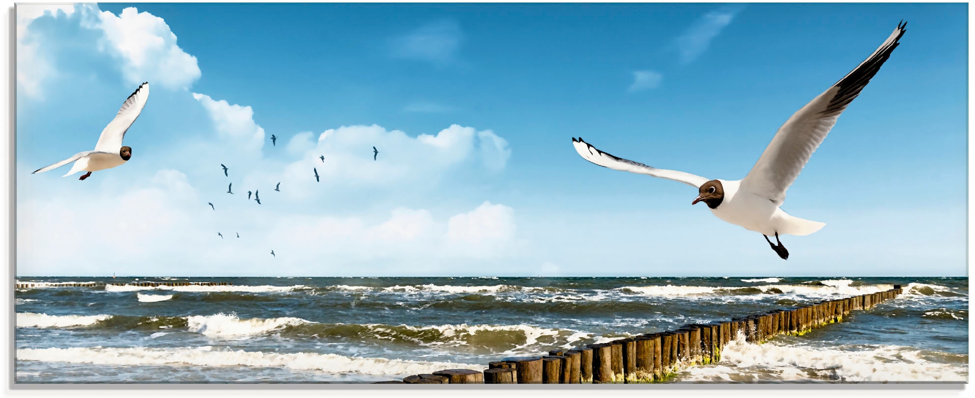 Artland Glasbild "Ostsee", Gewässer, (1 St.), in verschiedenen Größen günstig online kaufen