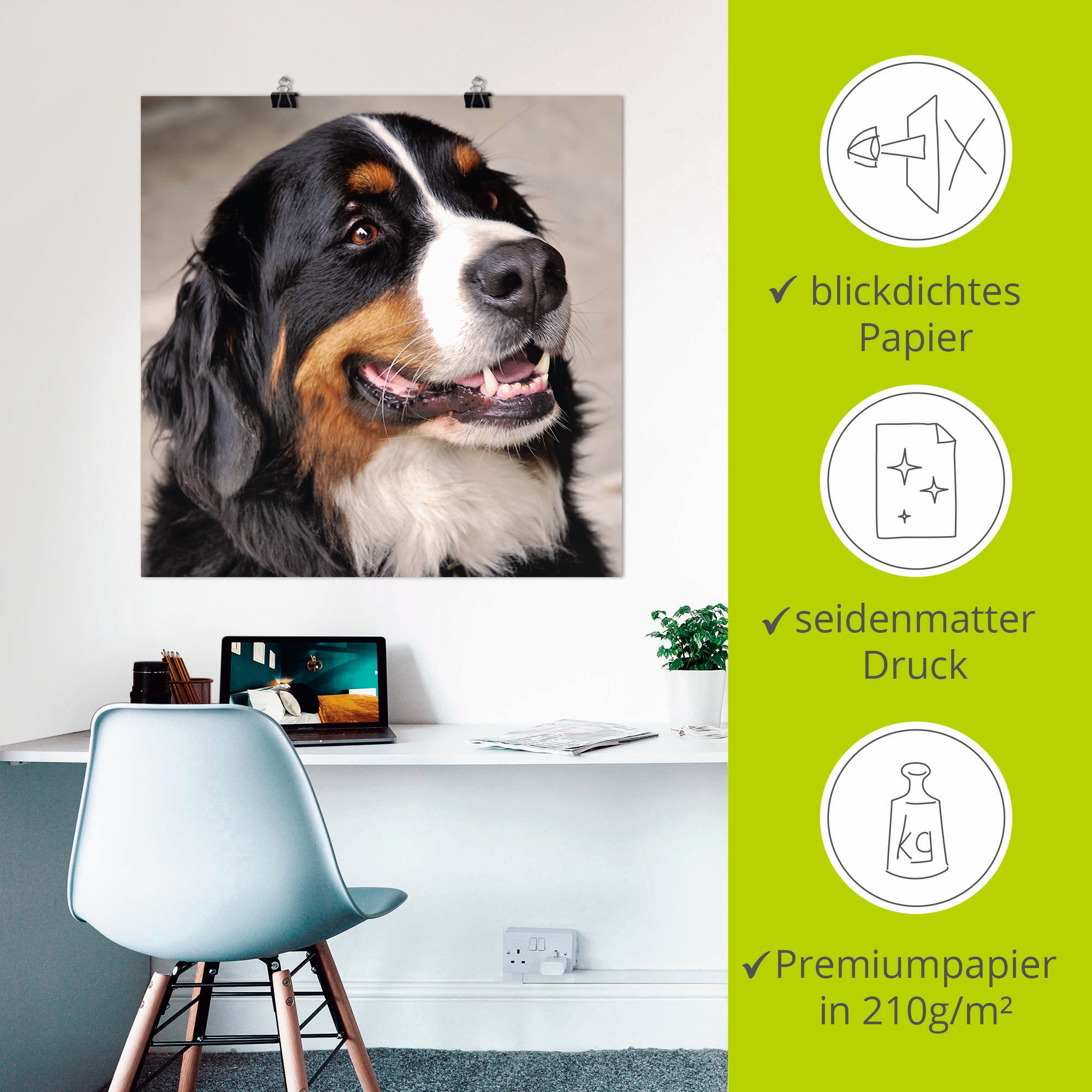 Artland Wandbild »Berner Sennenhund«, Haustiere, (1 St.), als Poster, Wandaufkleber in verschied. Größen