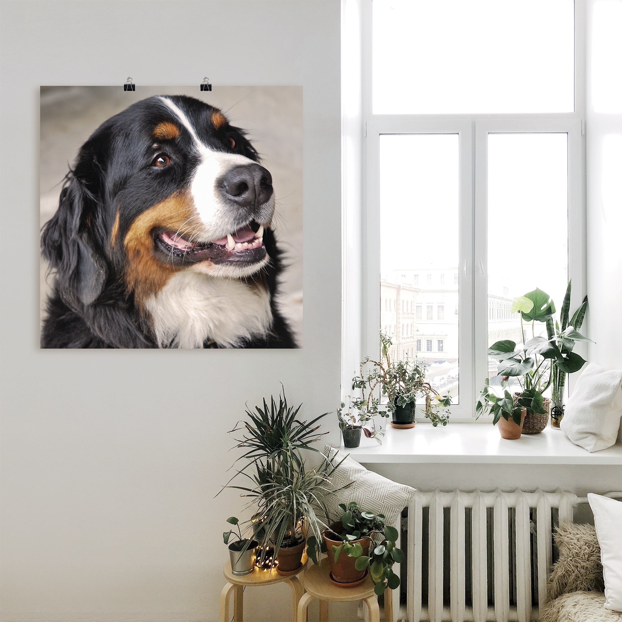Artland Wandbild »Berner Sennenhund«, Haustiere, (1 St.), als Poster, Wandaufkleber in verschied. Größen