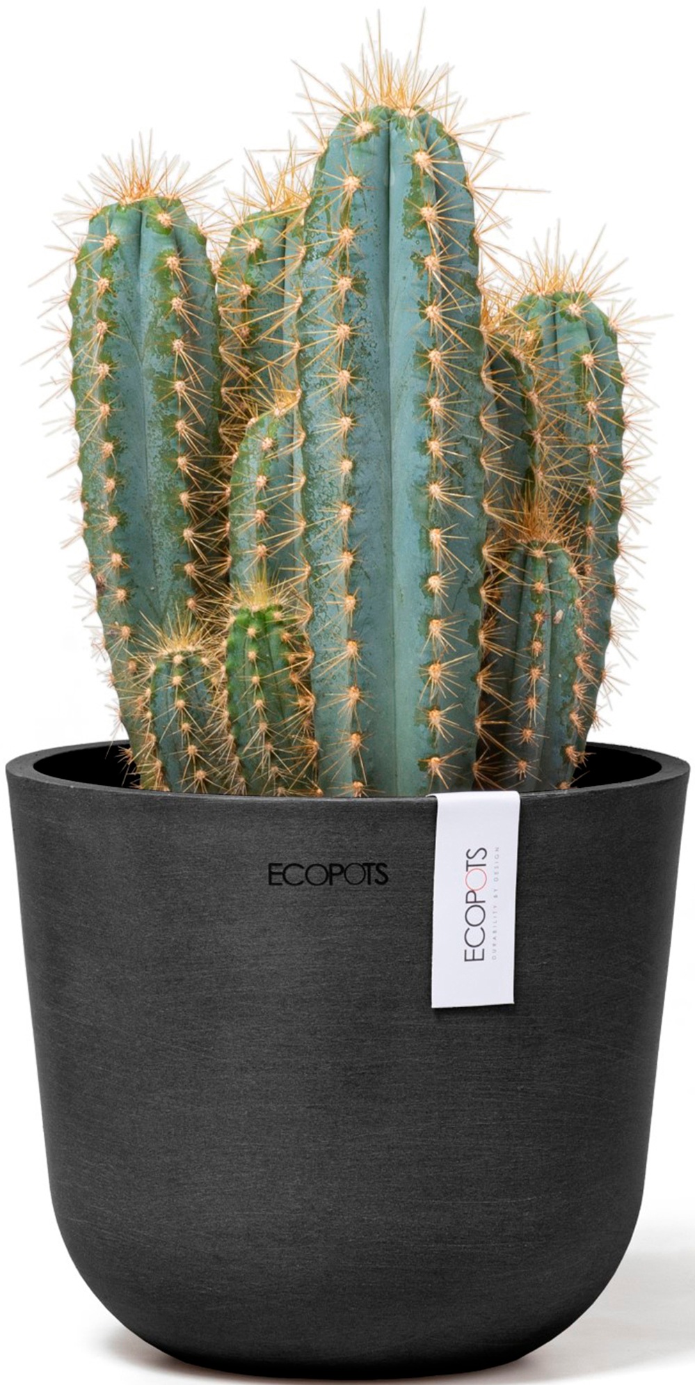 ECOPOTS Blumentopf »Oslo Mini 16 Dunkelgrau«, für den Innenbereich