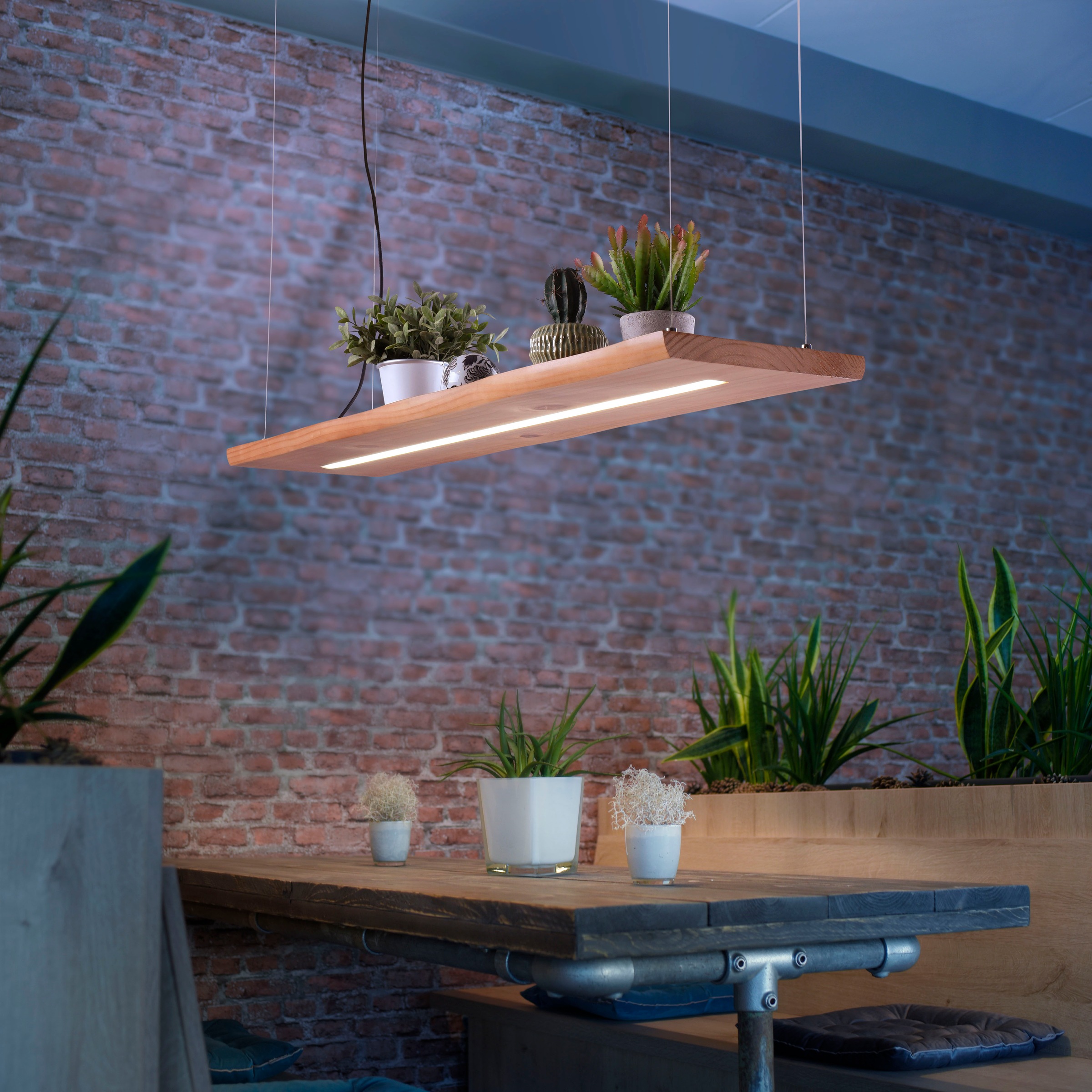 Paul Neuhaus Pendelleuchte »PALMA«, 1 flammig, Leuchtmittel LED-Board | LED fest integriert, CCT - über Fernbedienung, dimmbar über Fernbedienung, Infrarot inkl.