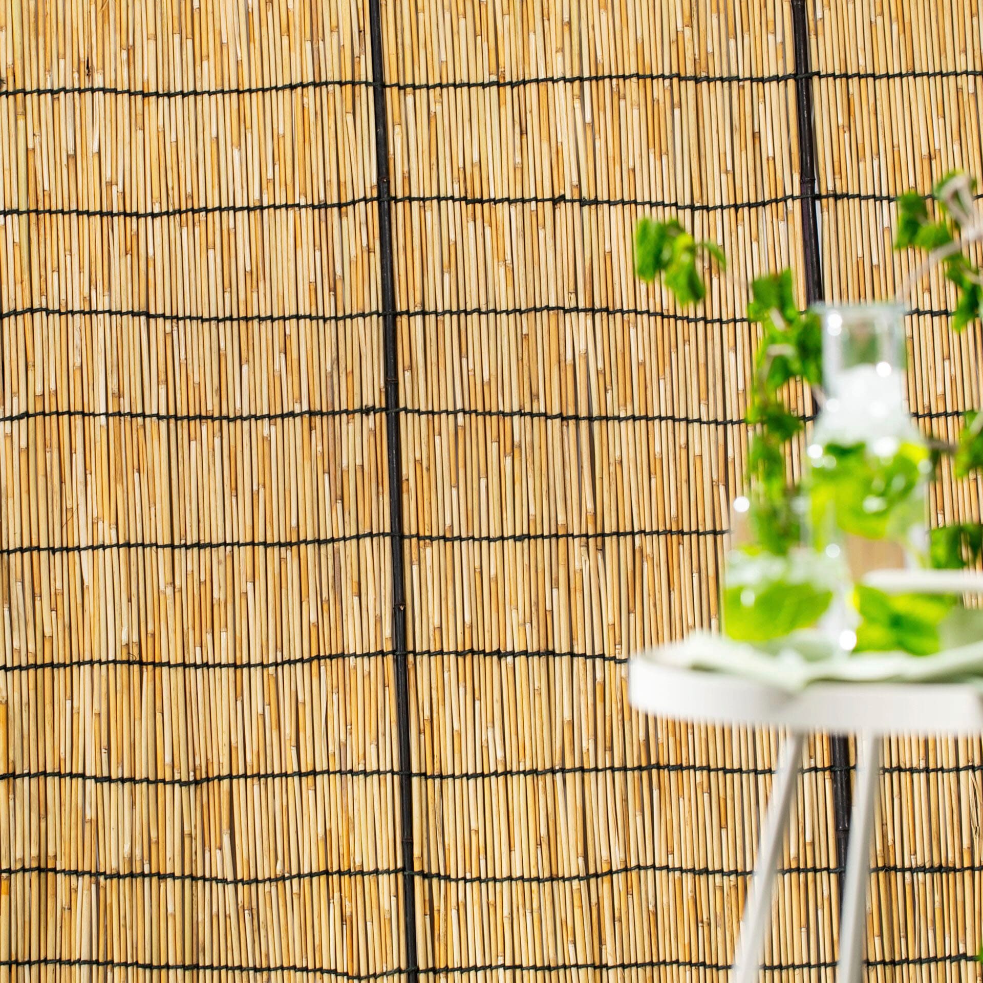 Windhager Sichtschutzzaunmatten, naturbelassenes Schilf mit Bambus-Verstärkung, L: 1,8 m