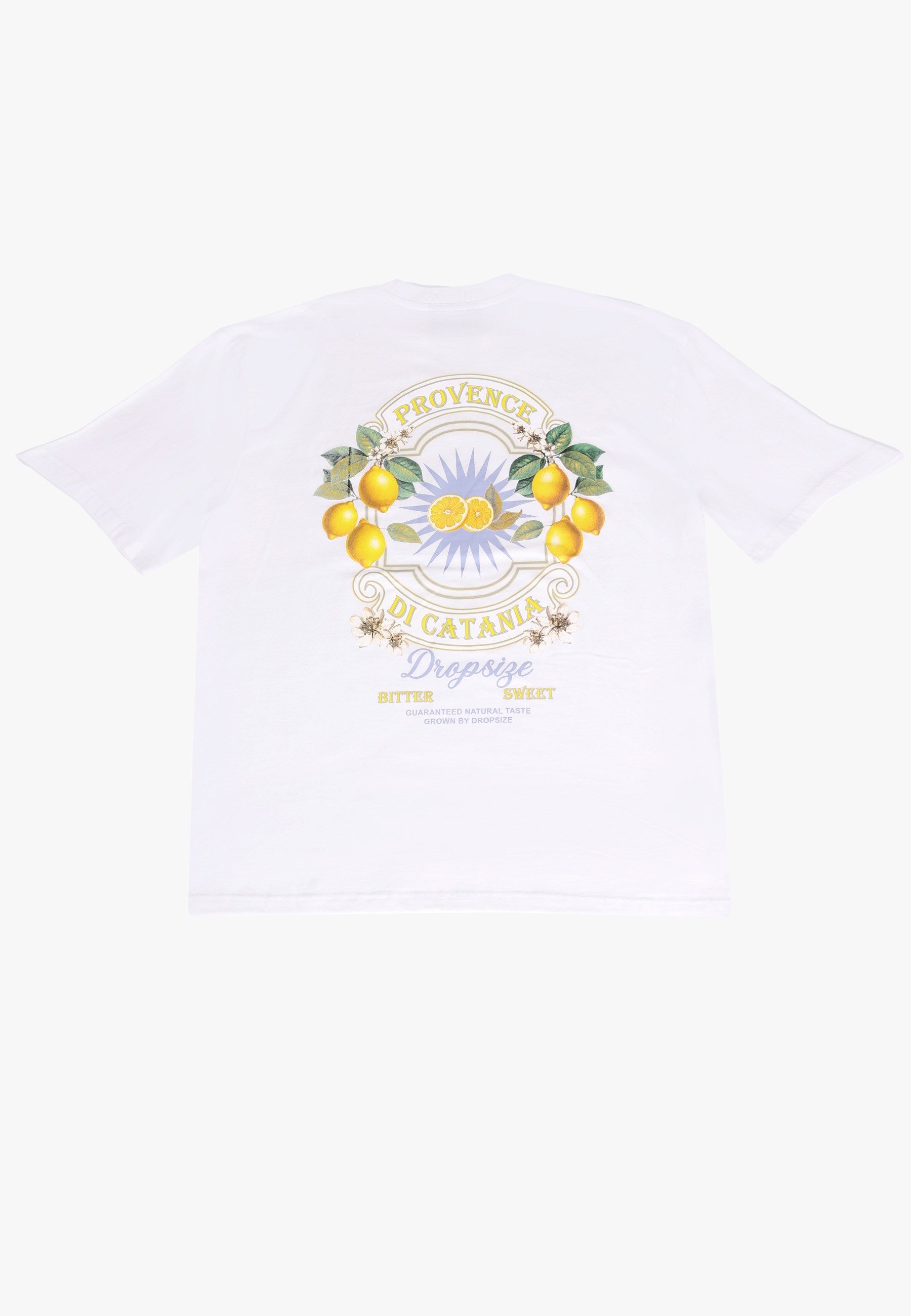 Dropsize T-Shirt »Dropsize HEAVY OVERSIZE CITRUS T-SHIRT« 1 Stk.