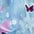 Fly & Sparkle