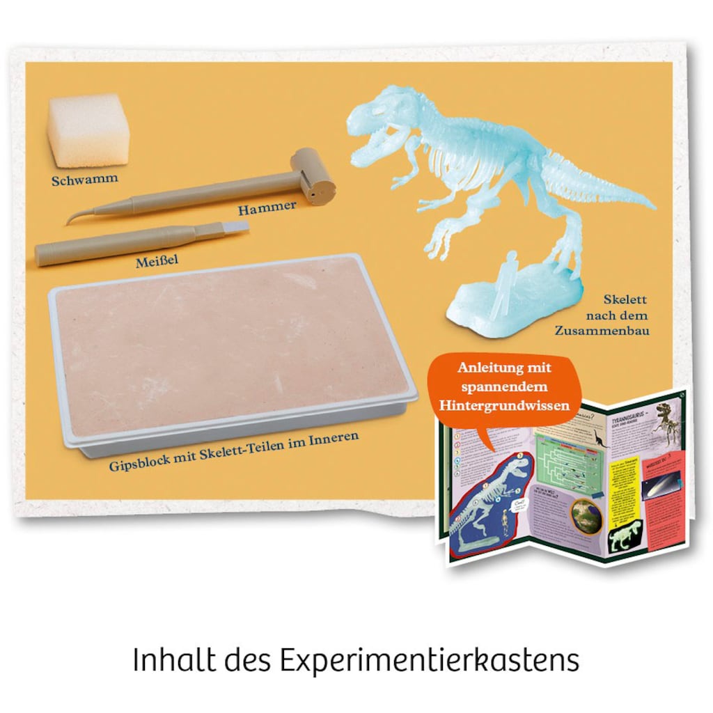 Kosmos Experimentierkasten »Nachtleuchtender T-REX«