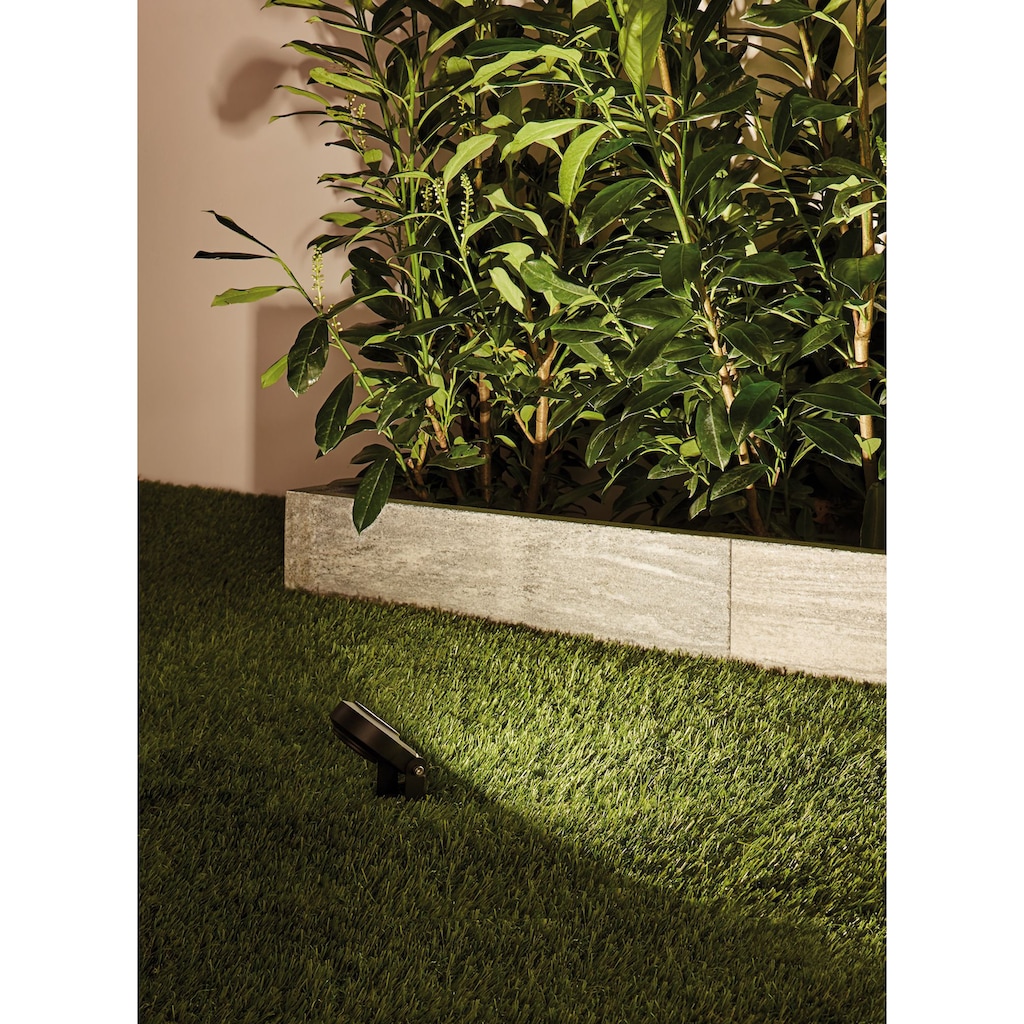 Paulmann LED Gartenstrahler »Plug & Shine«, 3 flammig-flammig