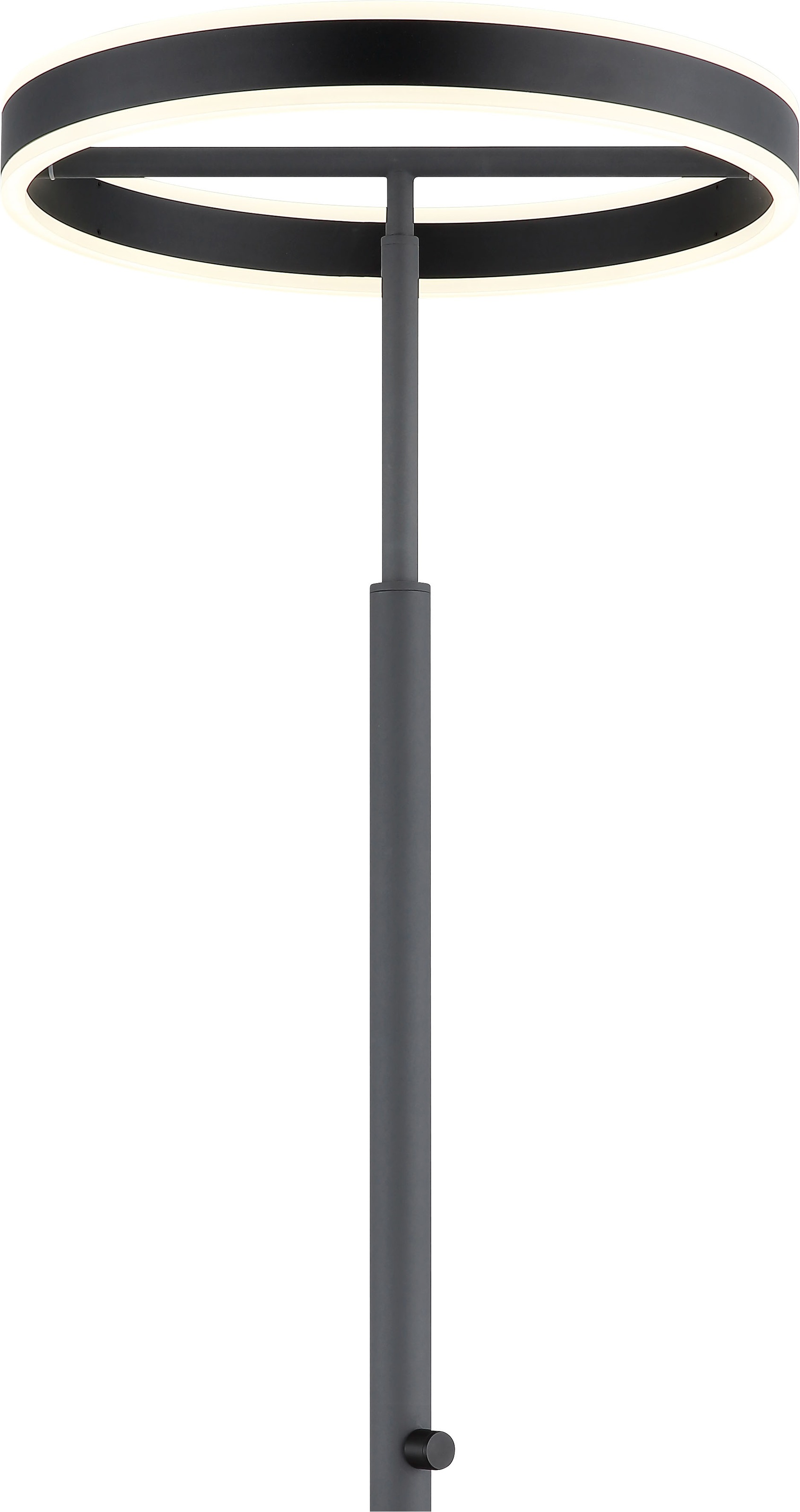 GLOBO LIGHTING Deckenfluter »EMANUEL« LED-Modul 1 Stk. LED Deckenfluter anthrazit, 4000K, Drehdimmer, starkes Licht