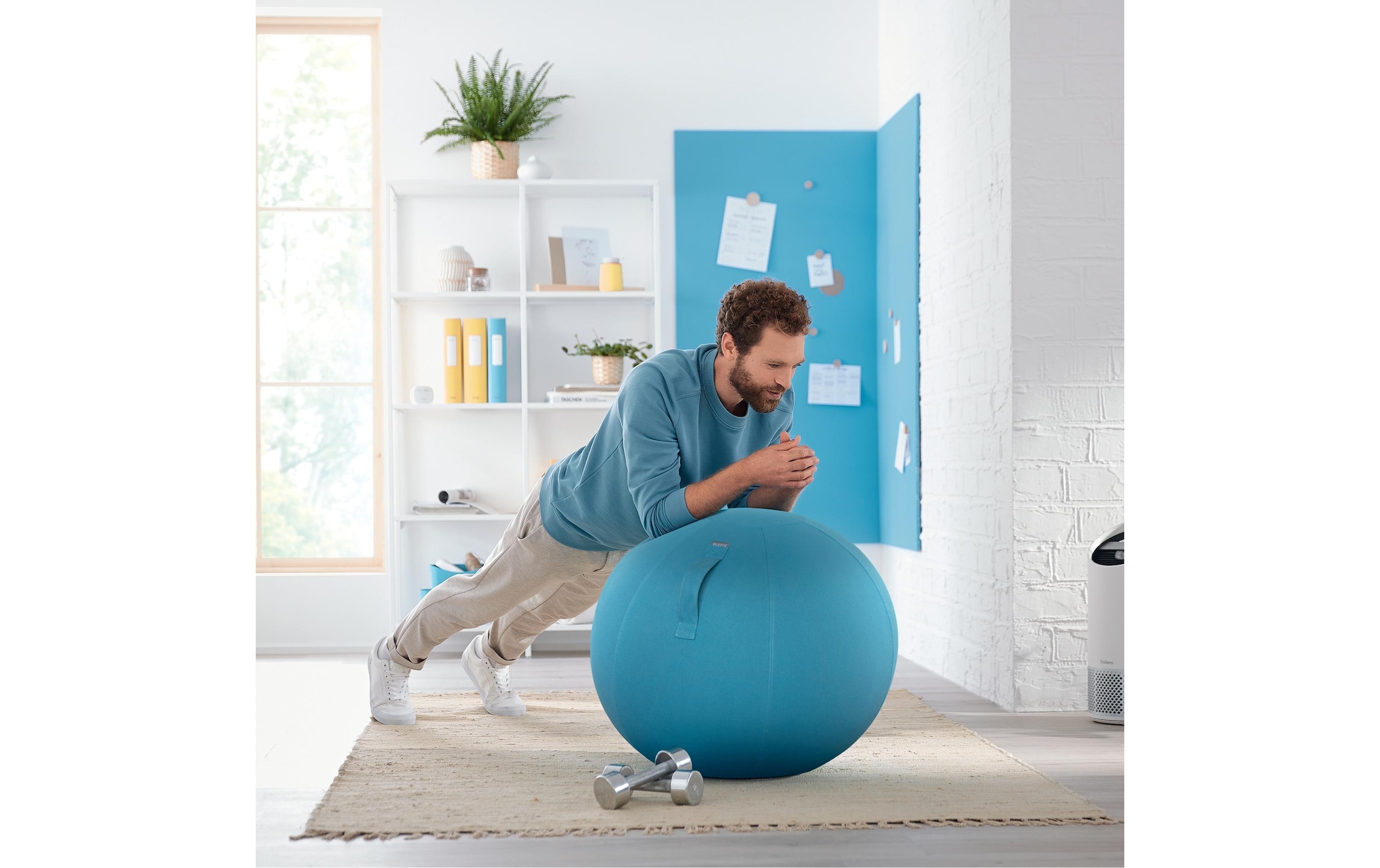 LEITZ Sitzball »Ergo Cosy«
