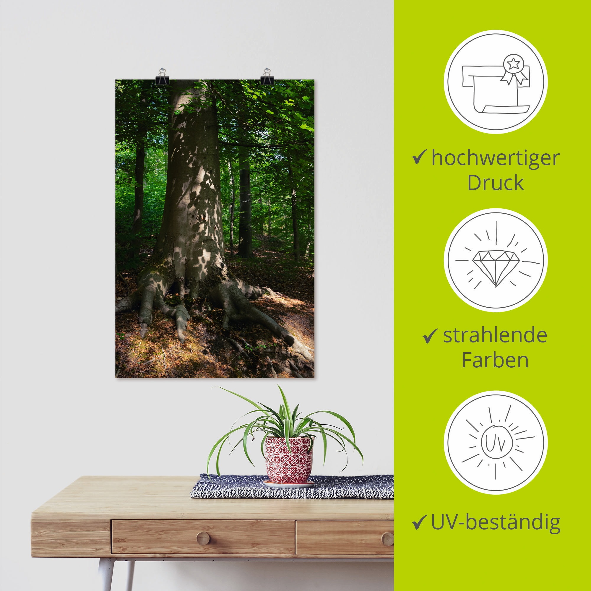 Artland Wandbild »Waldimpression«, Baumbilder, (1 St.), als Leinwandbild, Poster in verschied. Größen