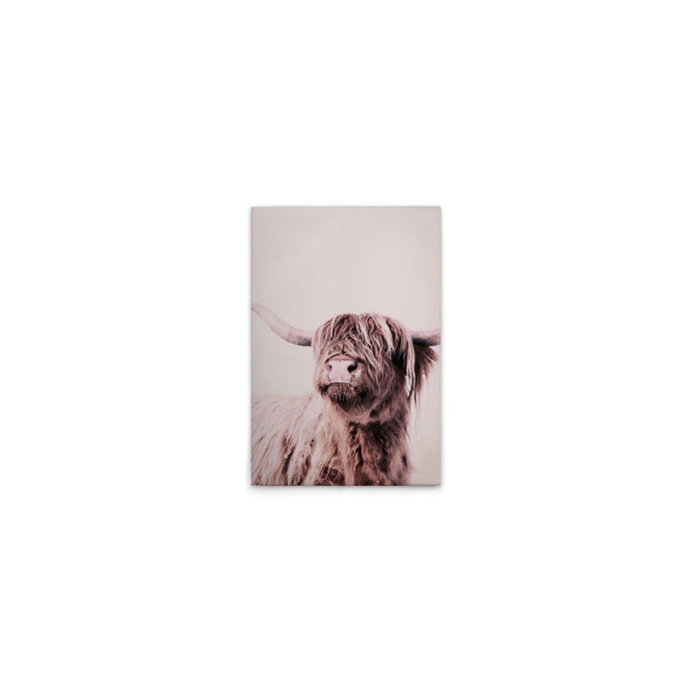 A.S. Création Leinwandbild »Highland Cattle 1 - Wandbild Creme Beige Keilra günstig online kaufen