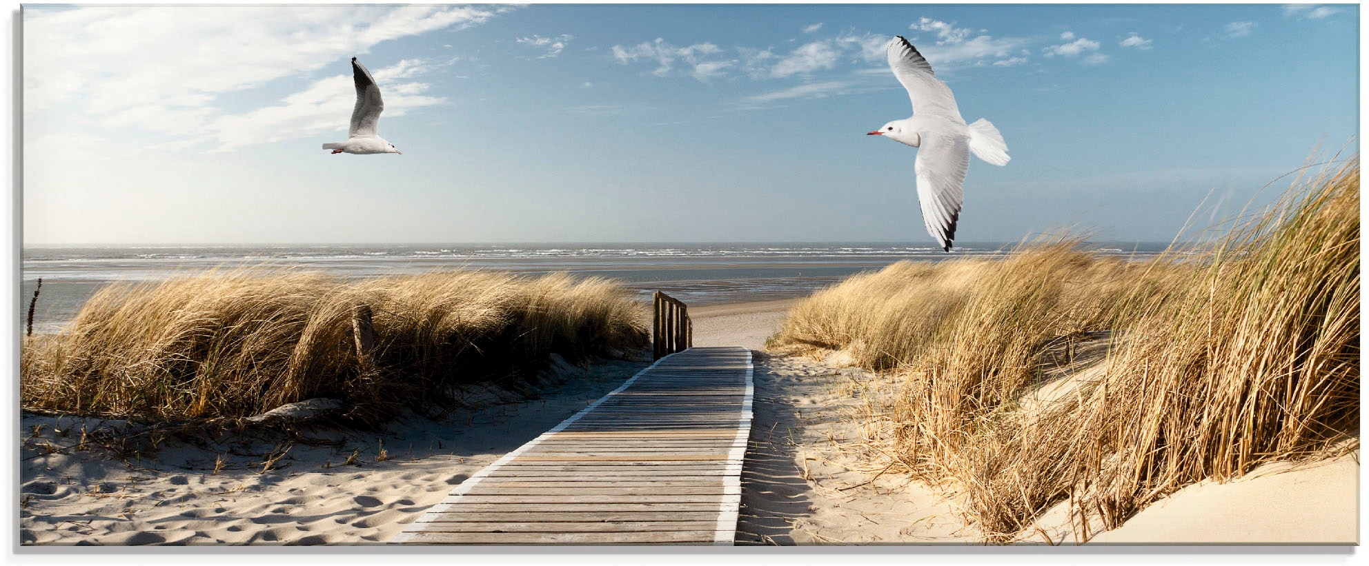 Artland Glasbild »Nordseestrand auf Langeoog mit Möwen«, Strand, (1 St.), i günstig online kaufen