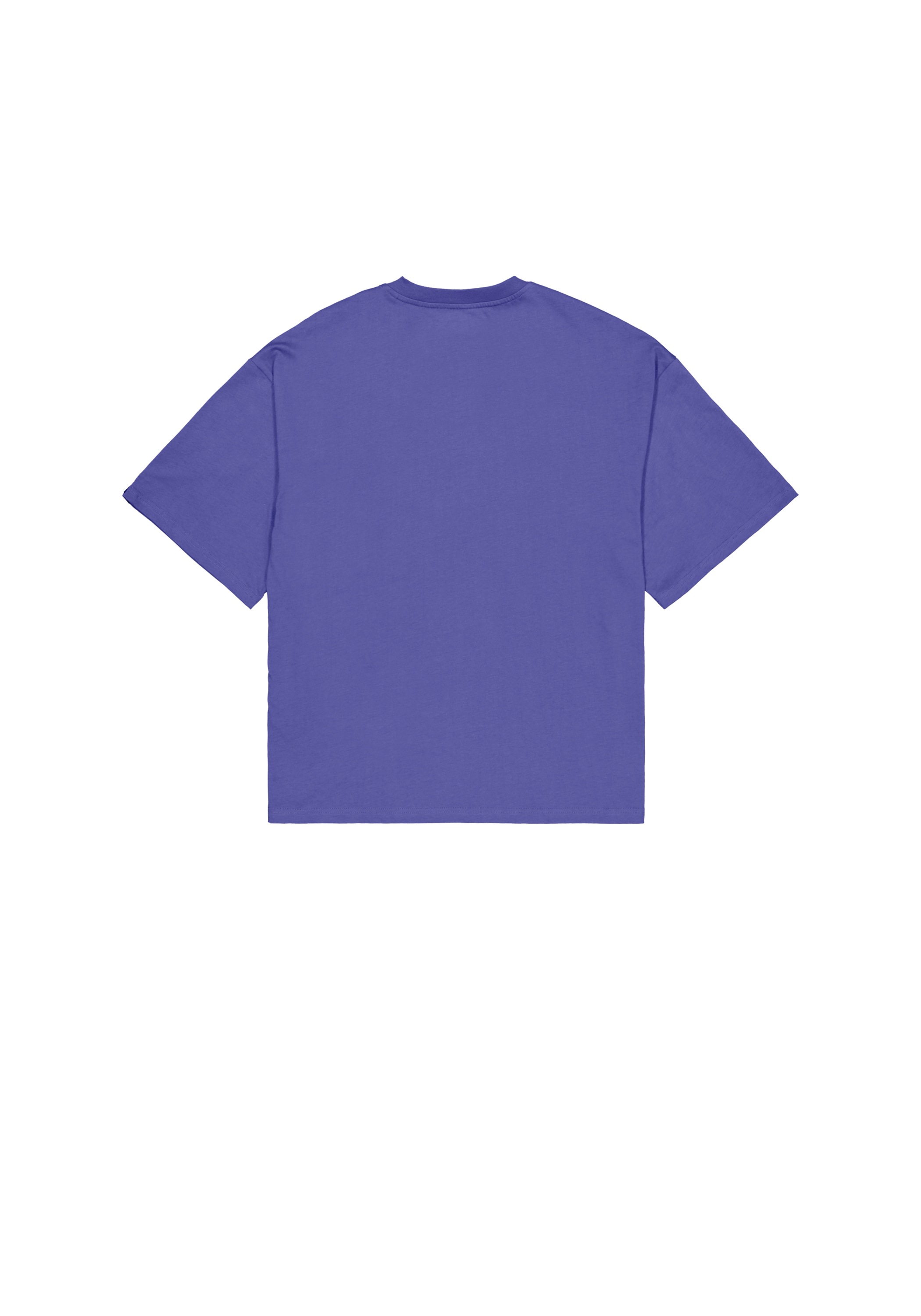 Alpha Industries T-Shirt »Alpha Industries Men - T-Shirts Studio Edition T-Shirt«
