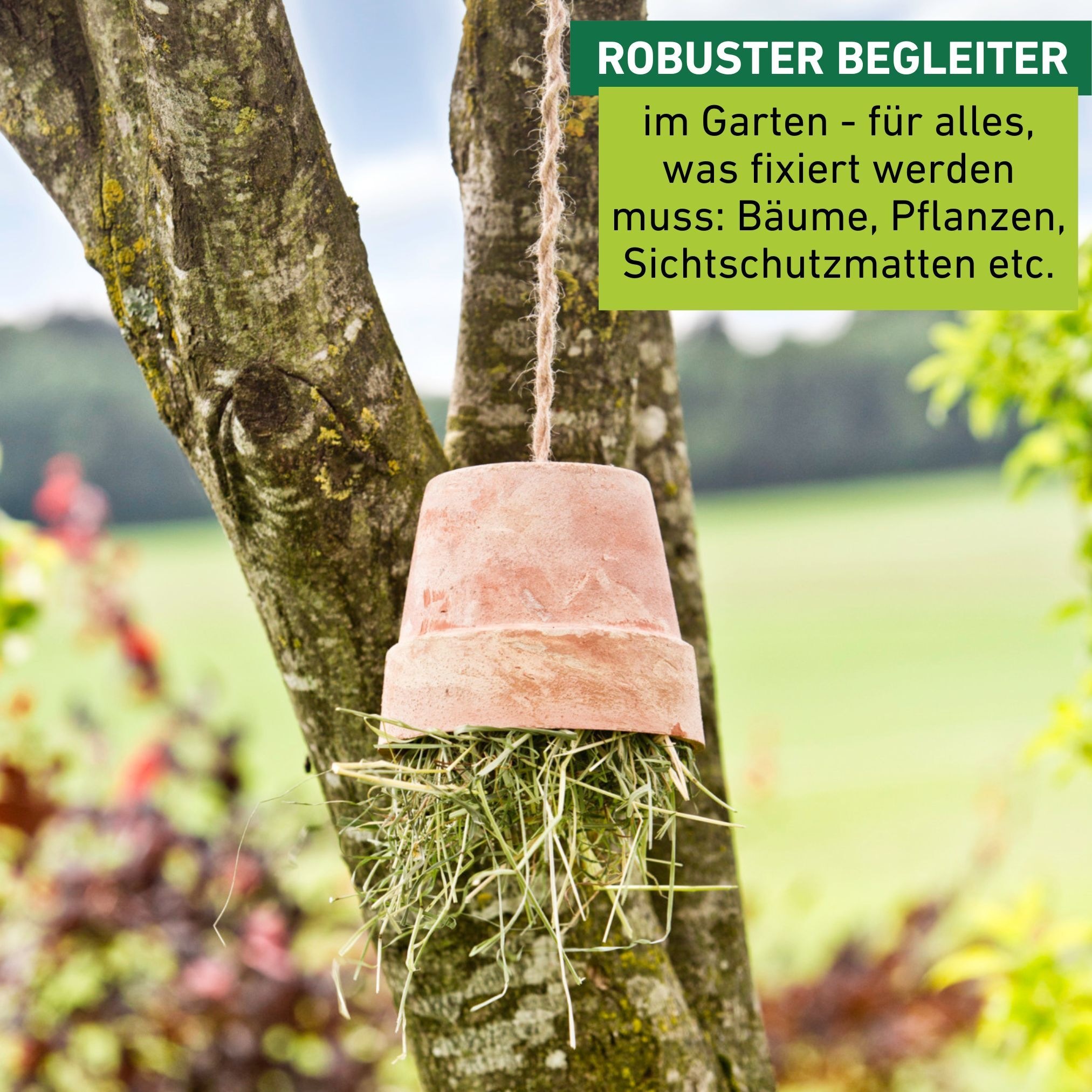 Windhager Pflanzschnur »reines Naturmaterial, Jute-Schnur, Garn zur Befestigen von Pflanzen« 1 Stk. tlg. Vliesen und Matten, erhältlich in 1,5 mm x 170 m oder 4 mm x 50 m