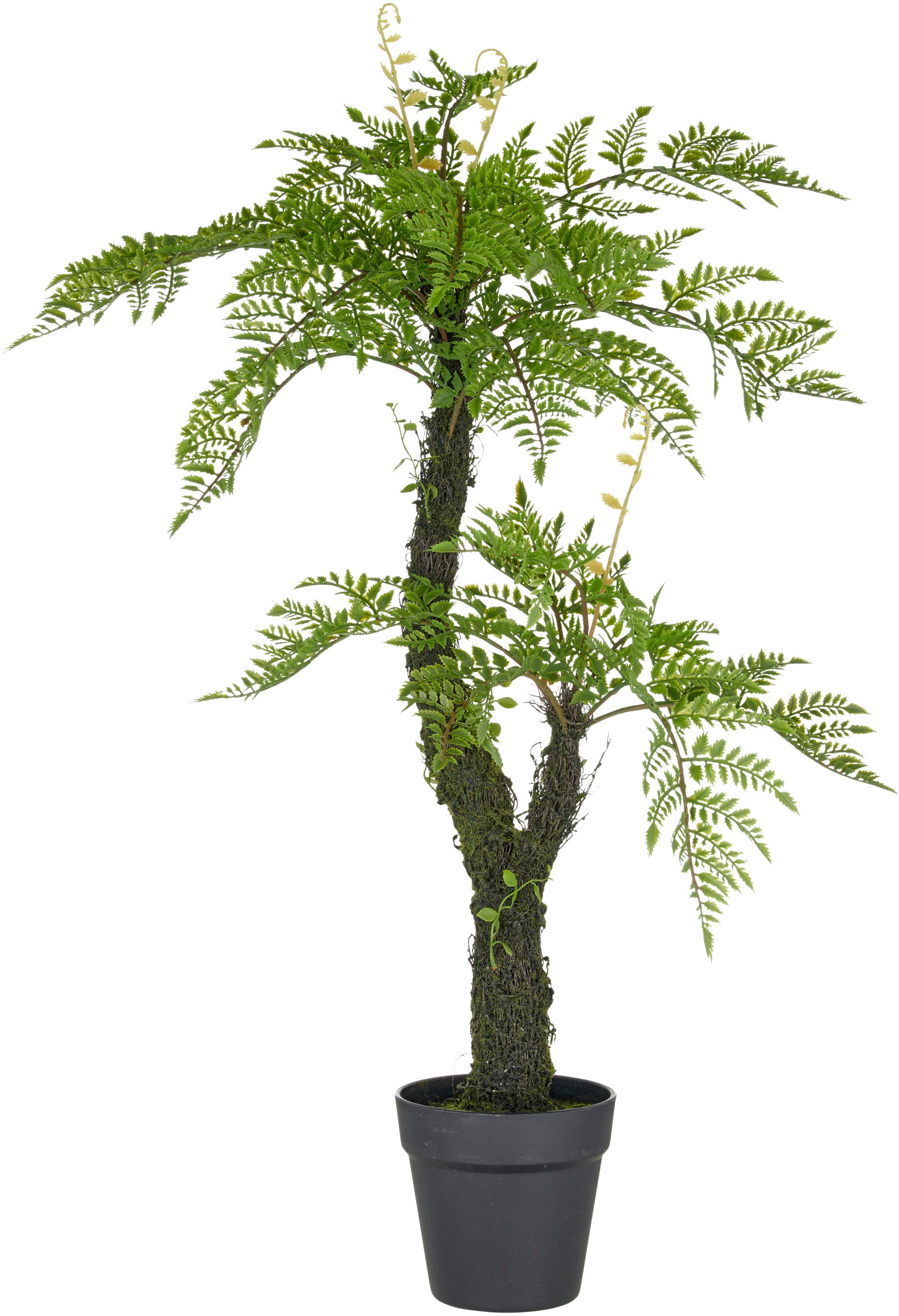 Creativ Green Kunstpflanze "Baumfarn", grün, B/H/L: 80cm, 1 Stk.