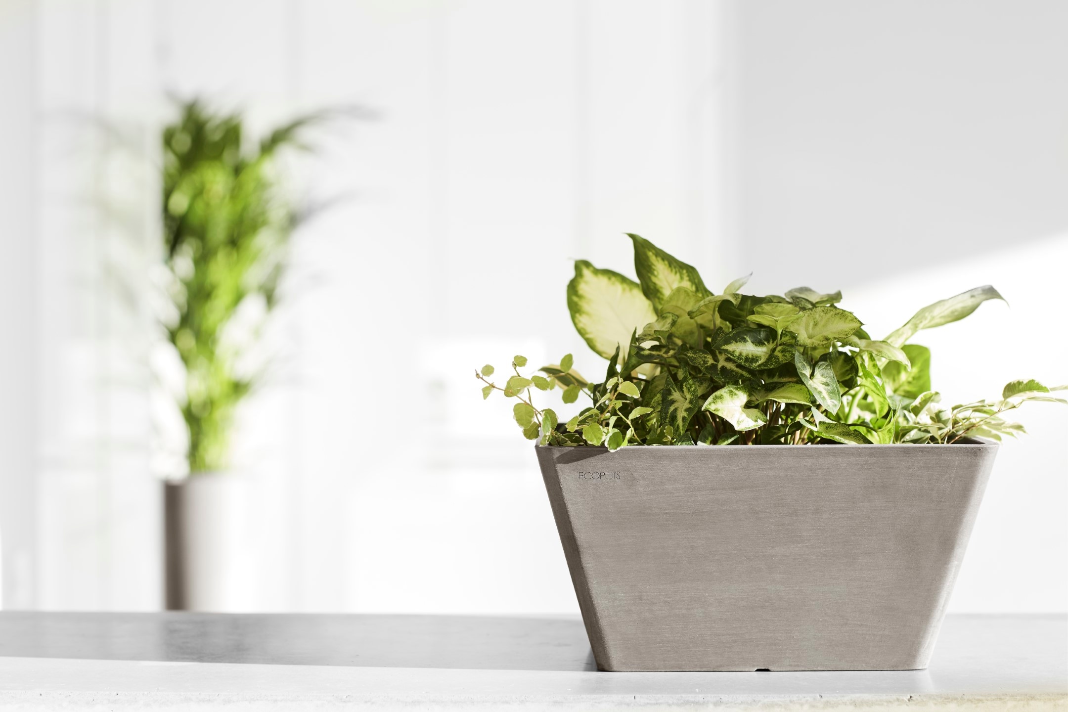 ECOPOTS Blumentopf »BERLIN Taupe« BxTxH: 31x31x15,5 cm