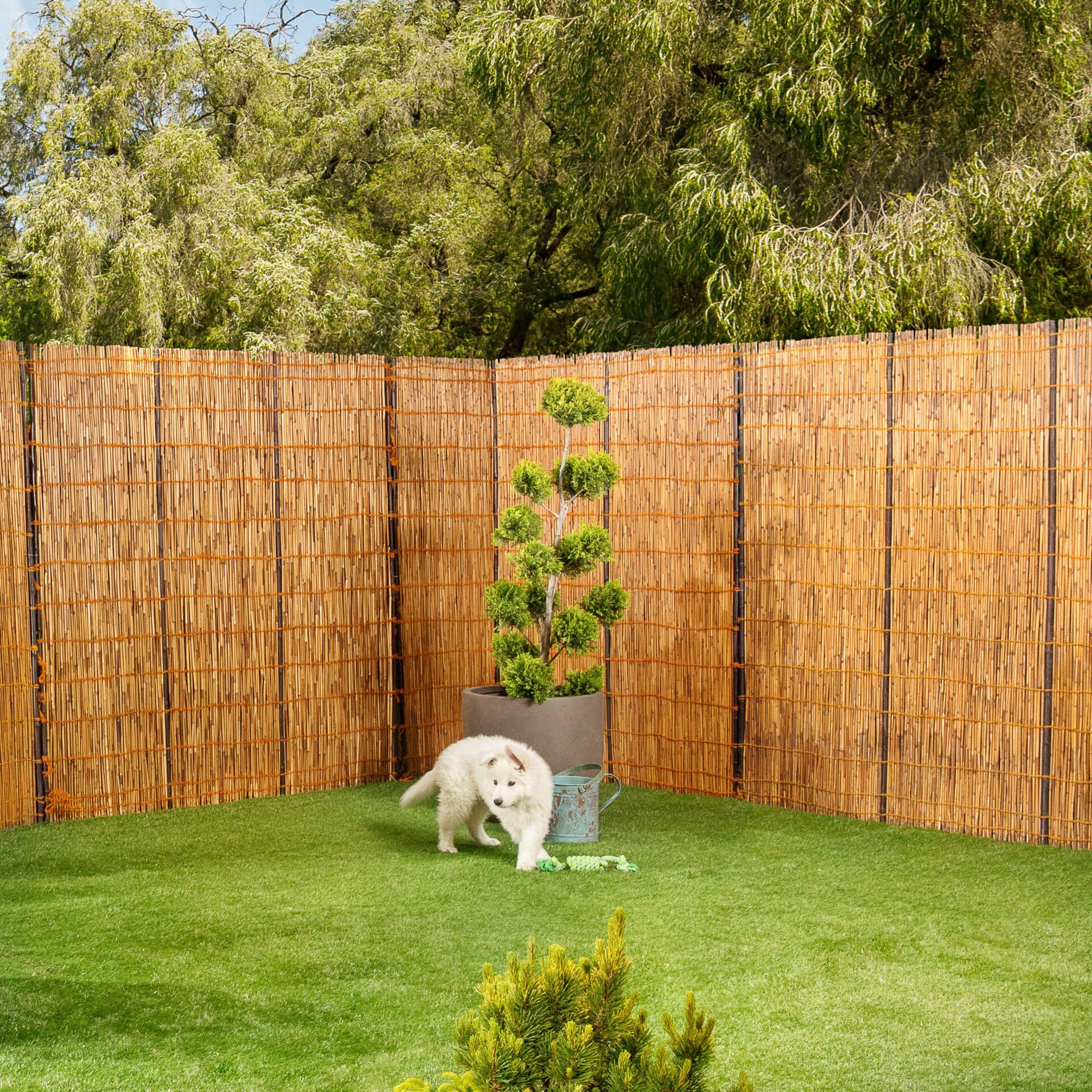 Windhager Sichtschutzzaunmatten naturbelassenes Schilf mit Bambus-Verstärkung, L: 1,8 m