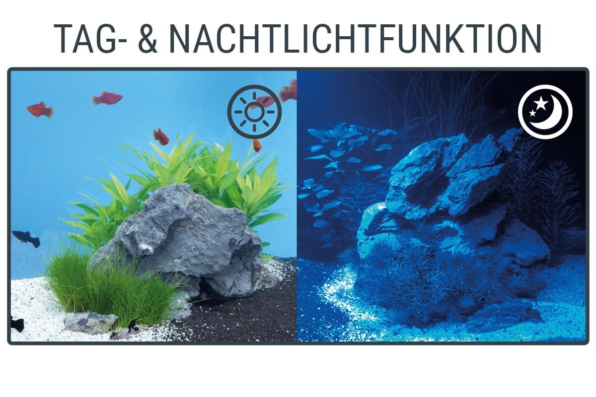LED kaufen Aquariumleuchte ProLine LED Tetra »Tetronic online 980«