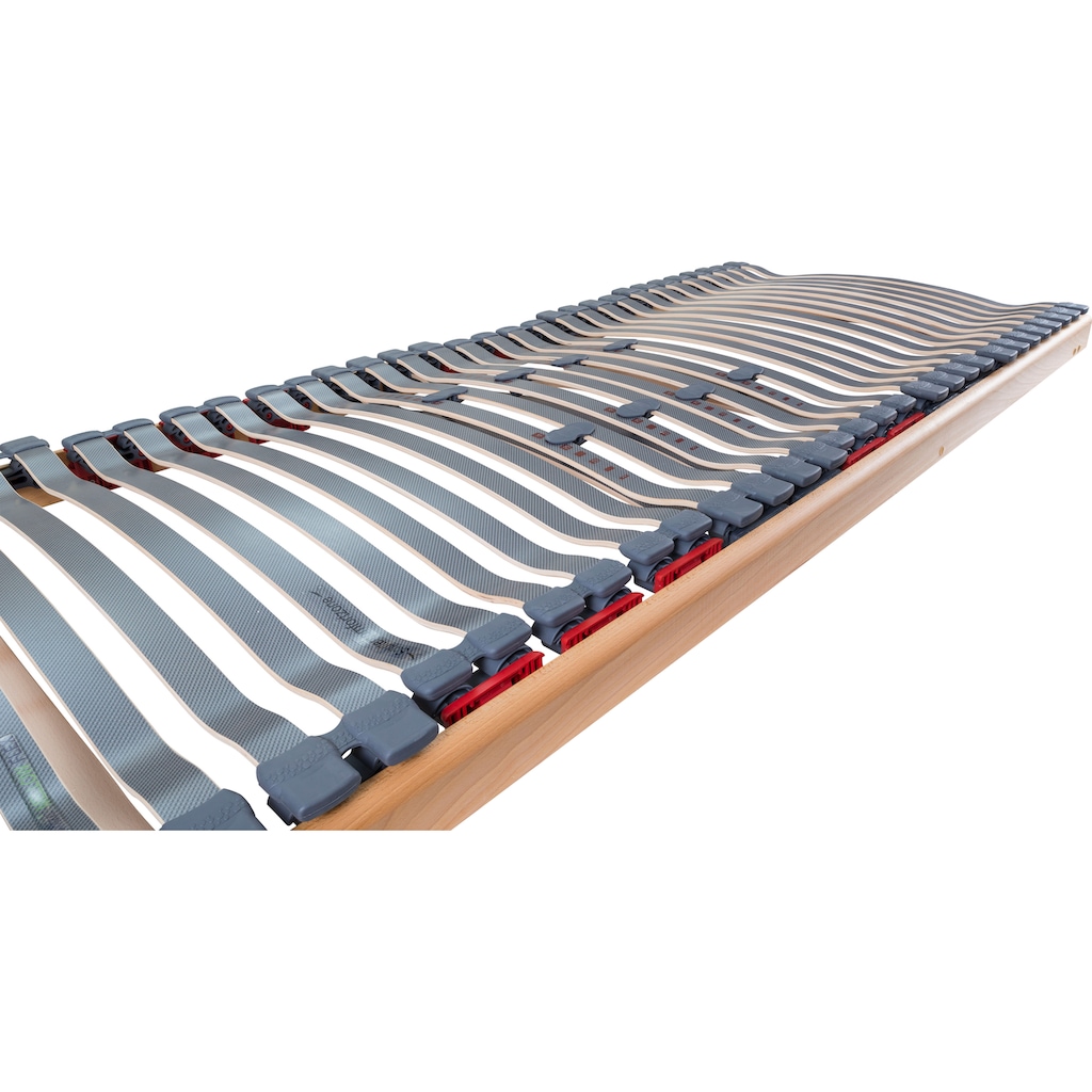 DELAVITA Lattenrost »VITAM FLEX, 80x200, 120x200 cm und 140x200 cm«, Lattenrost für alle Matratzen, langlebig, ergonomisch