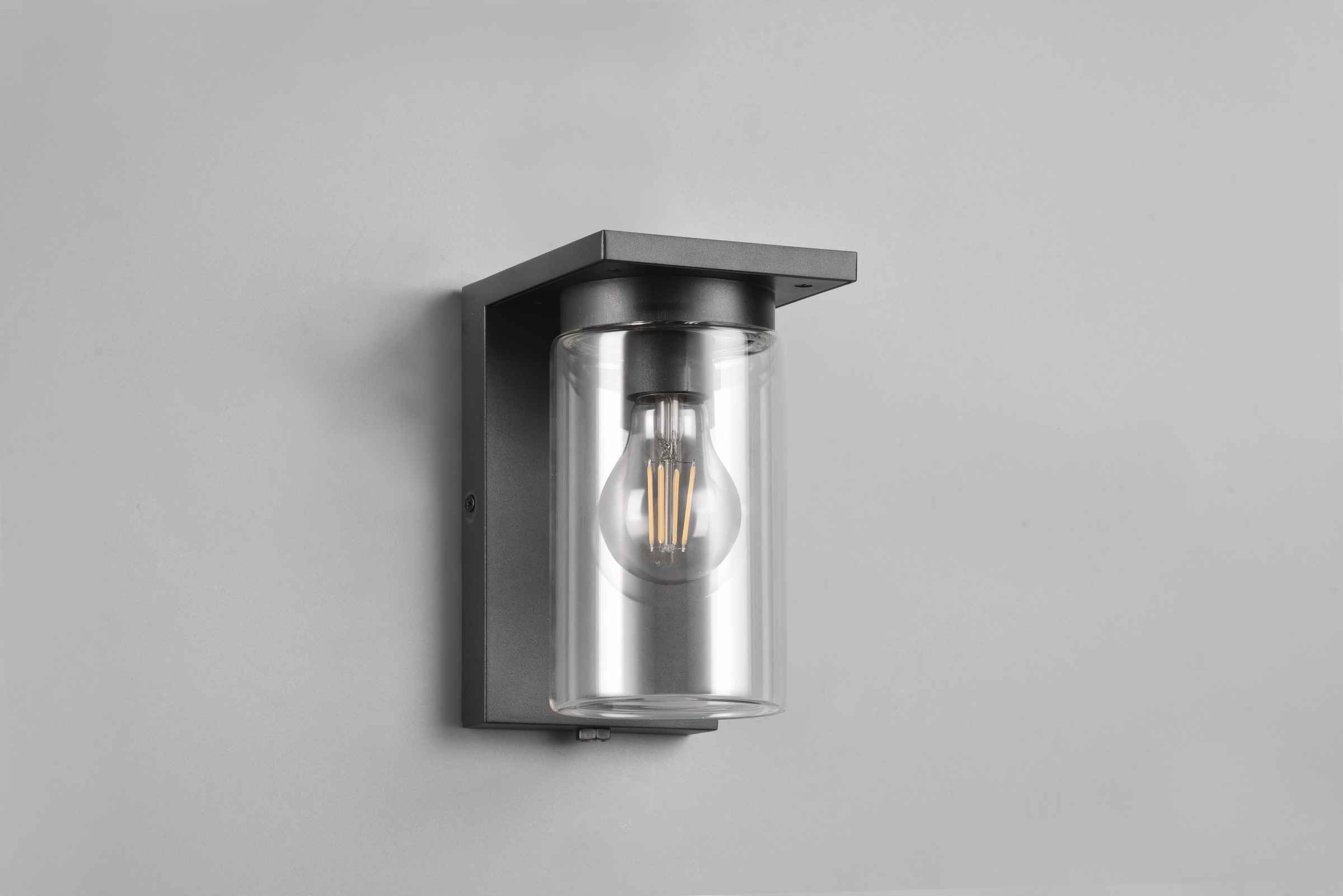 TRIO Leuchten Außen-Wandleuchte »ARDILA, Outdoor Fassadenleuchte mit Glasschirm, Dämmerungssensor«, 1 flammig, Leuchtmittel E27 | Leuchtmittel wechselbar, exkl 1x E27 max 40W, IP44, Wandlampe für Hauswand Garten Terrasse