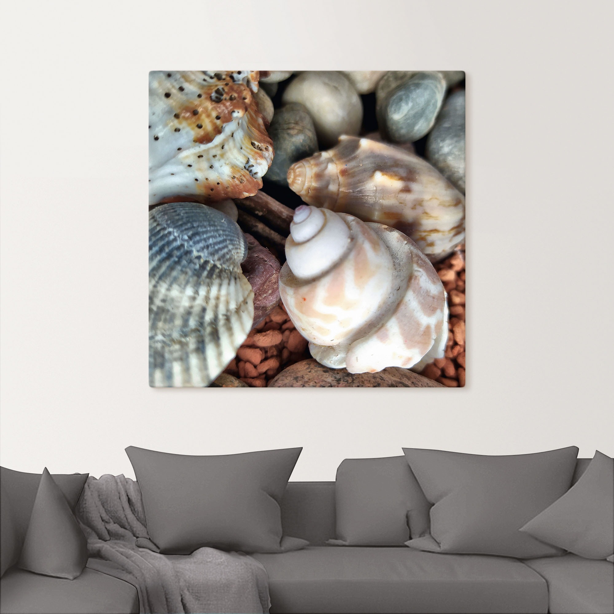 Artland Leinwandbild »Kleine Muschelschätze«, Meer, (1 St.), auf Keilrahmen gespannt
