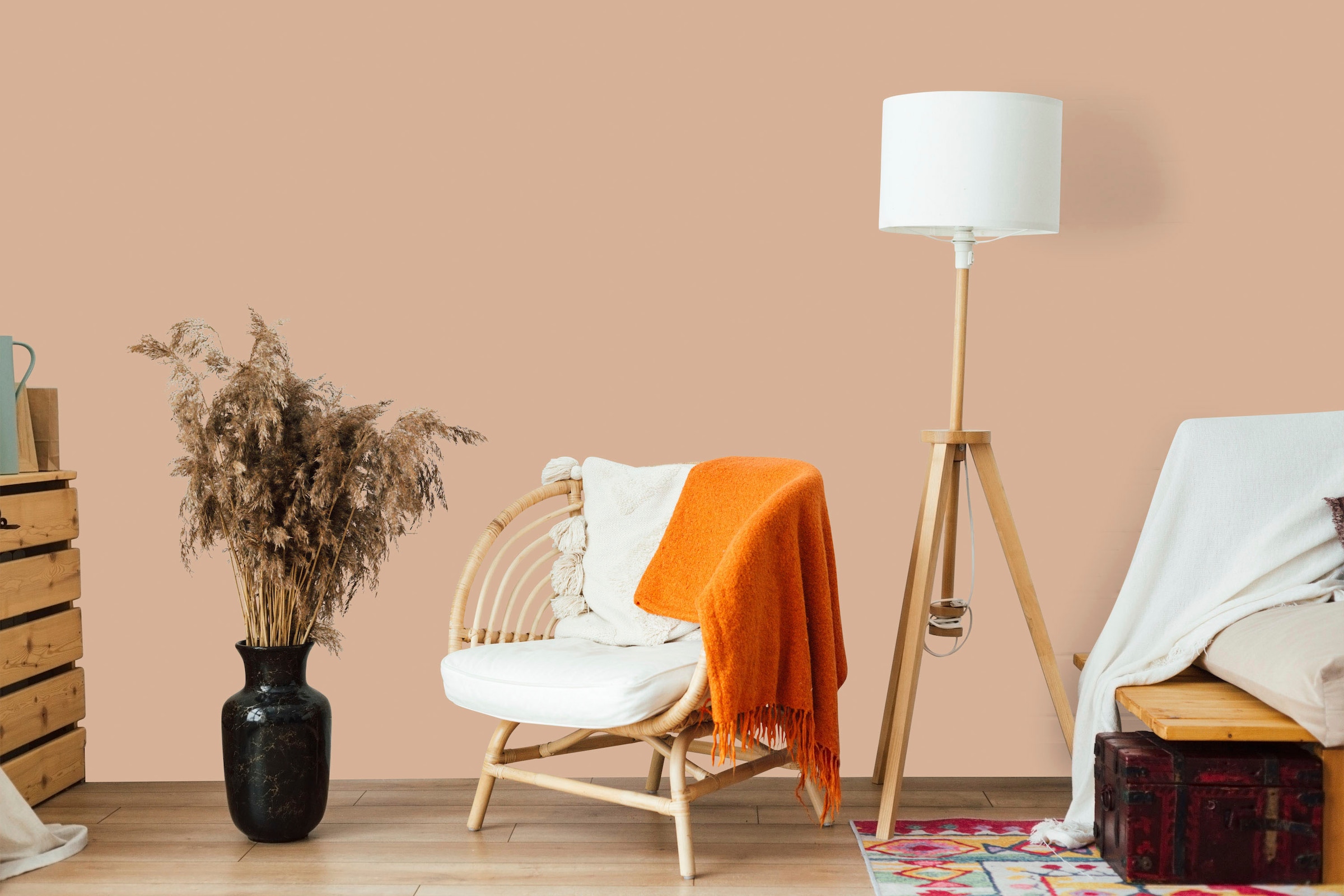 A.S. Création Wand- und Deckenfarbe »Seidenmatt Innenfarbe THE COLOR KITCHEN« für Wohnzimmer Schlafzimmer Flur Küche, versch. Orangetöne