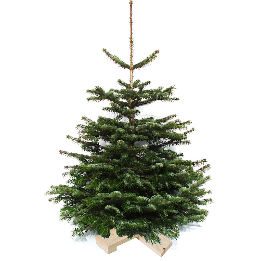 Weihnachtsbaumland Echter Weihnachtsbaum »Nordmanntanne auf Holzkreuz montiert, Weihnachtsdeko«, Nordmanntanne, Höhe ca. 100 bis 120 cm