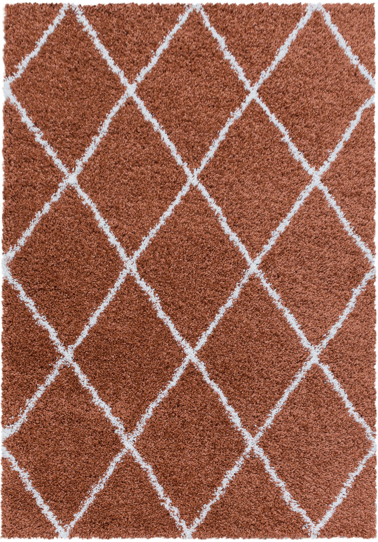 Ayyildiz Teppiche Hochflor-Teppich »ALVOR 3401«, rechteckig, 50 mm Höhe, Shaggy, Langflor, Läufer, pflegeleicht, Wohnzimmer