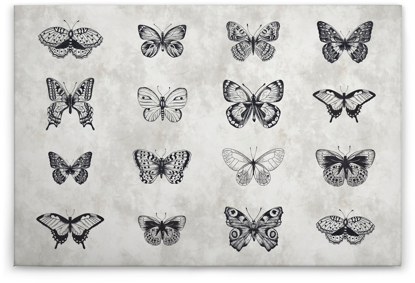 Bricoflor Schmetterling Bild Auf Leinwand Betonoptik Wandbild Mit Gezeichne günstig online kaufen