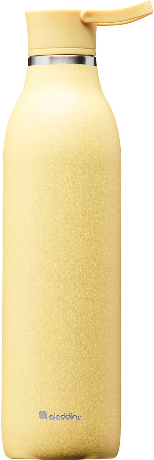 aladdin Trinkflasche »City Loop«, Edelstahl, 600 ml