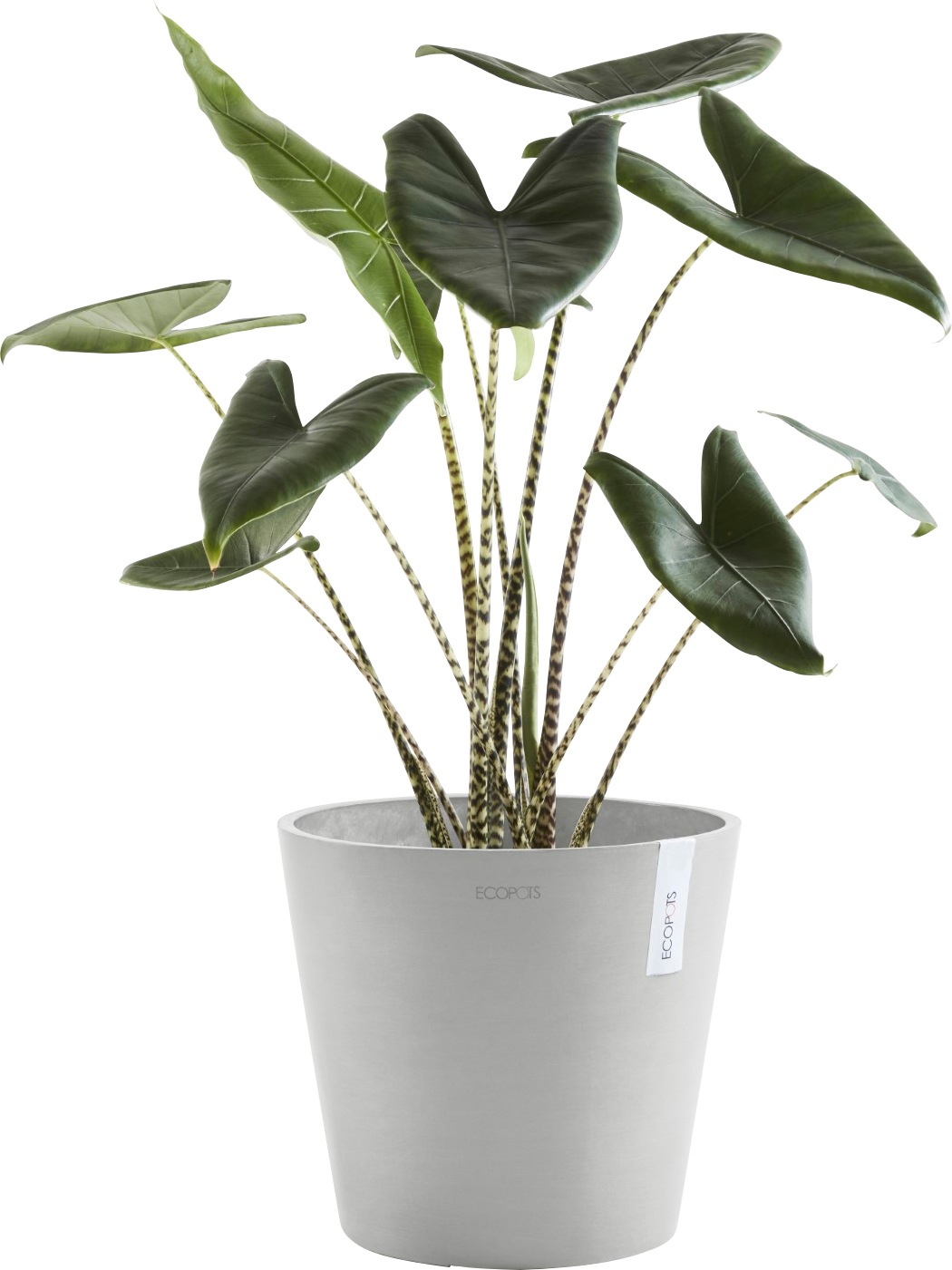 ECOPOTS Blumentopf »AMSTERDAM White Grey«, BxTxH: 40x40x35 cm, mit Wasserreservoir