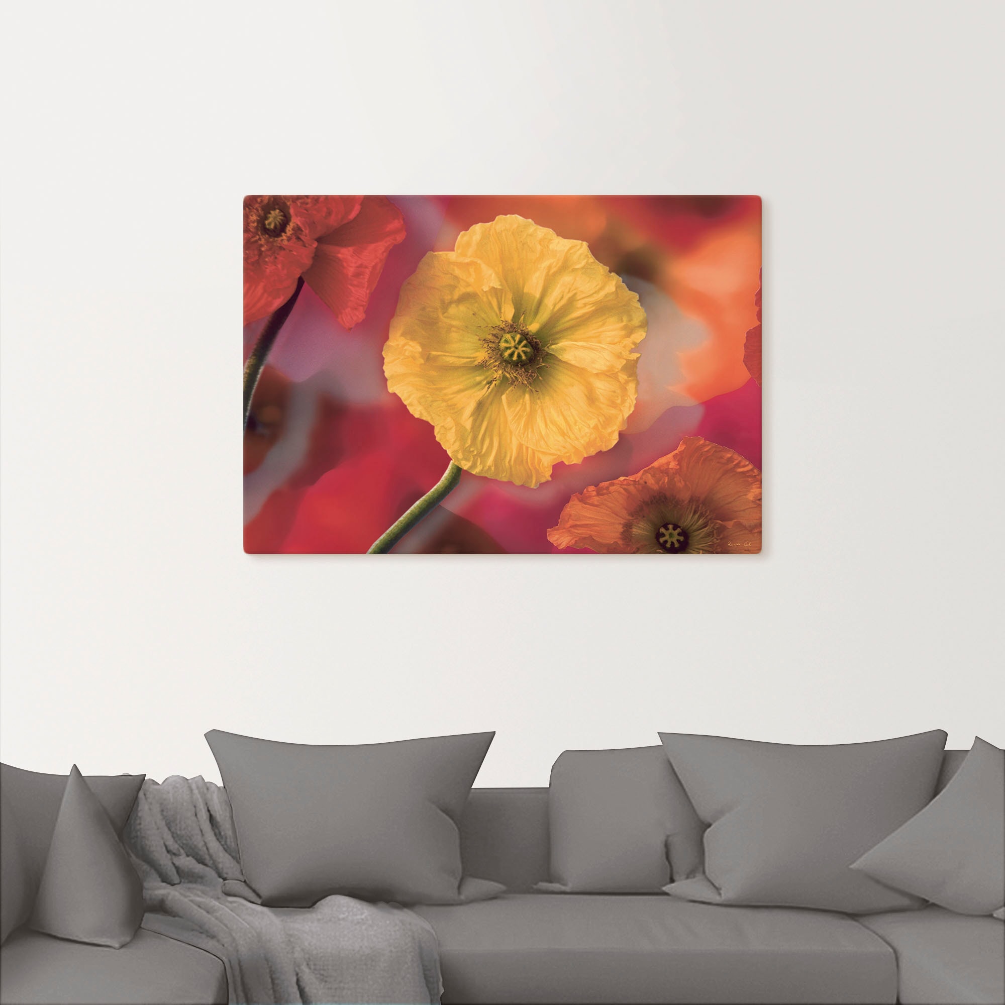Artland Wandbild »Fotokollage Mohnblumen«, in (1 Rechnung Leinwandbild, Wandaufkleber als Größen oder versch. auf St.), Blumenbilder, bestellen Poster