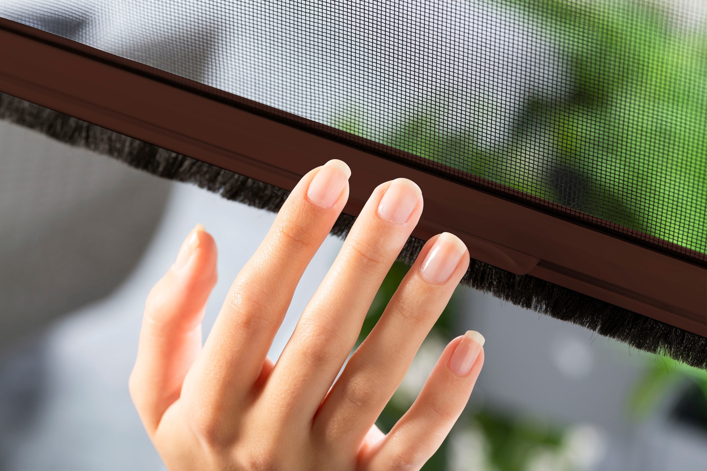 hecht international Insektenschutzrollo »SMART«, transparent, Insektenschutz, für Fenster, kürzbar