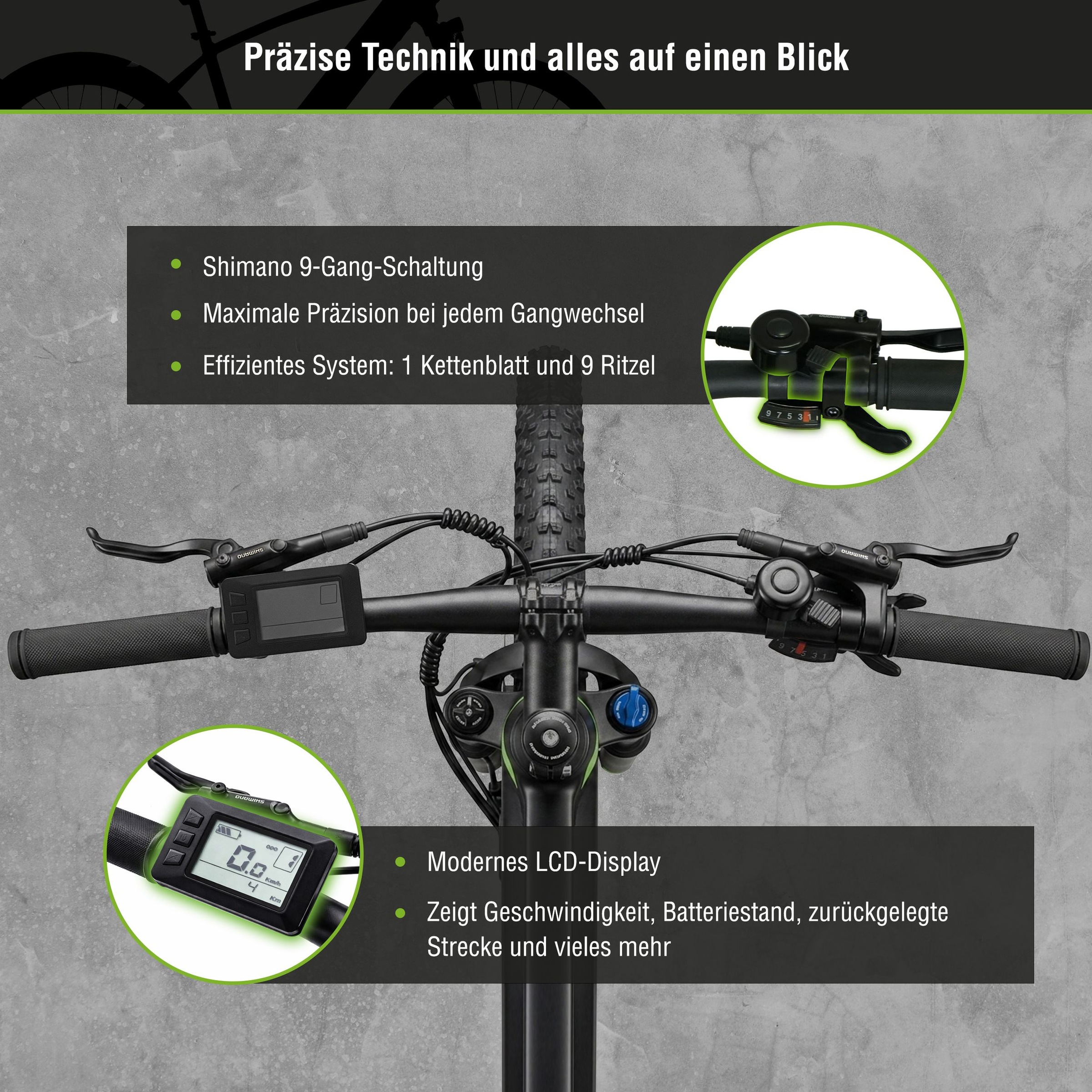 SachsenRad »R8T Flex III mit Gepäckträger« 9 Gang Shimano Kettenschaltung Heckmotor 250 W
