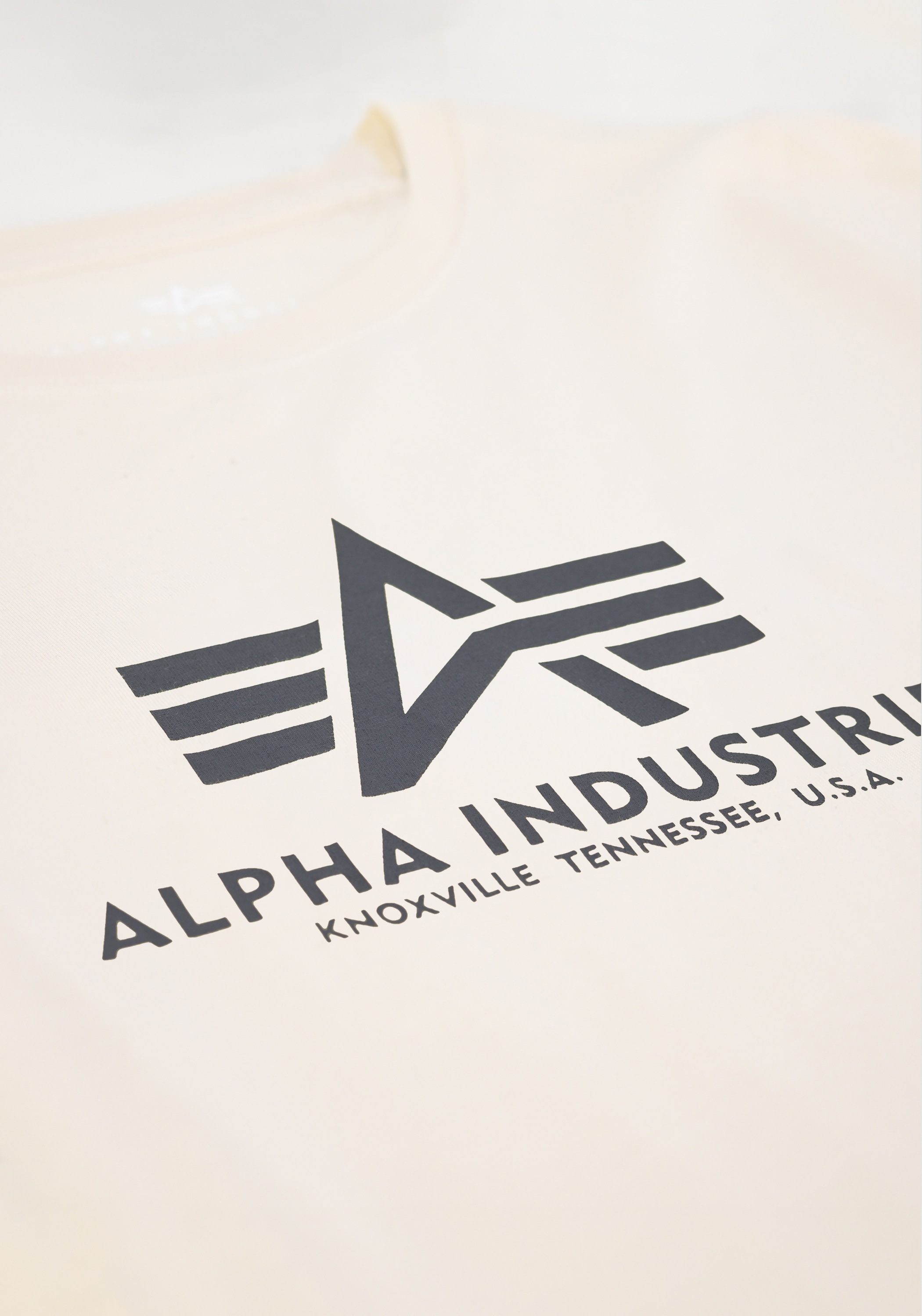 Alpha Industries T-Shirt »Alpha Industries Kids - T-Shirts Basic T Kids/Teens«