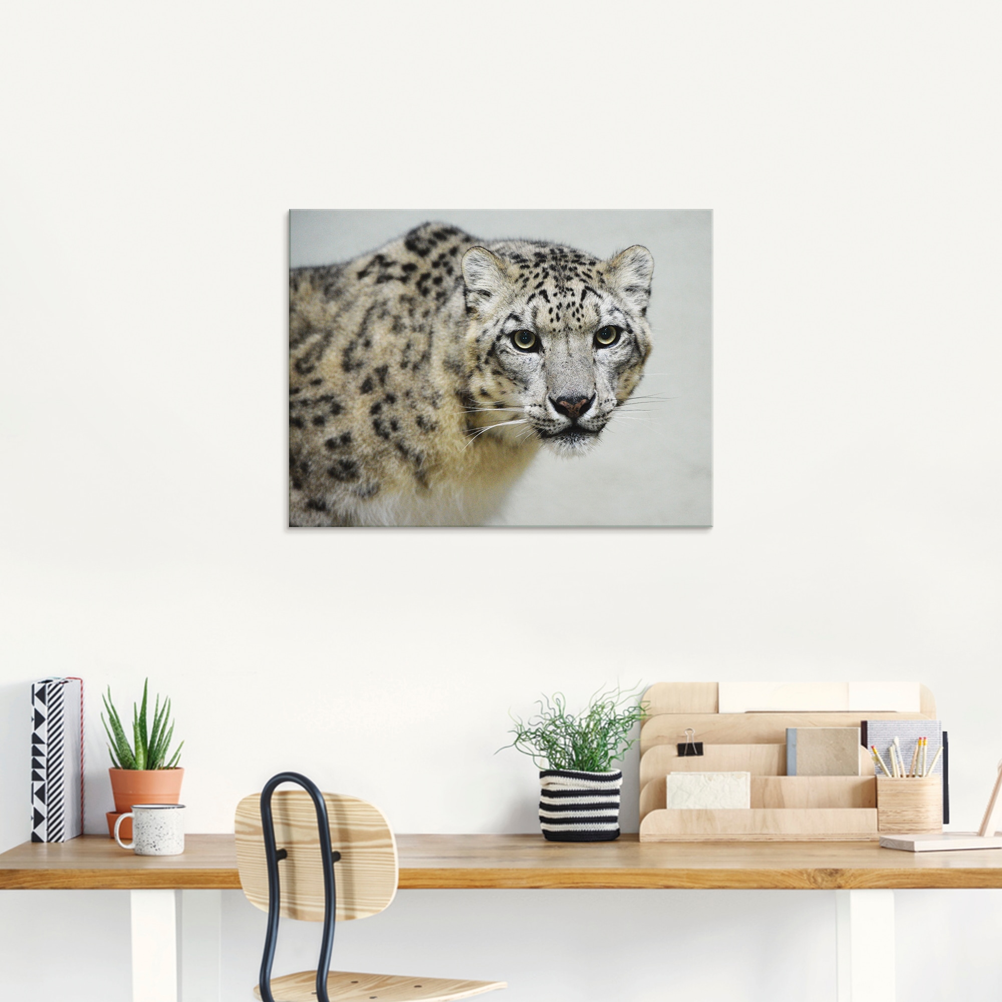 Artland Glasbild »Schneeleopard«, Wildtiere, (1 St.), in verschiedenen Größen