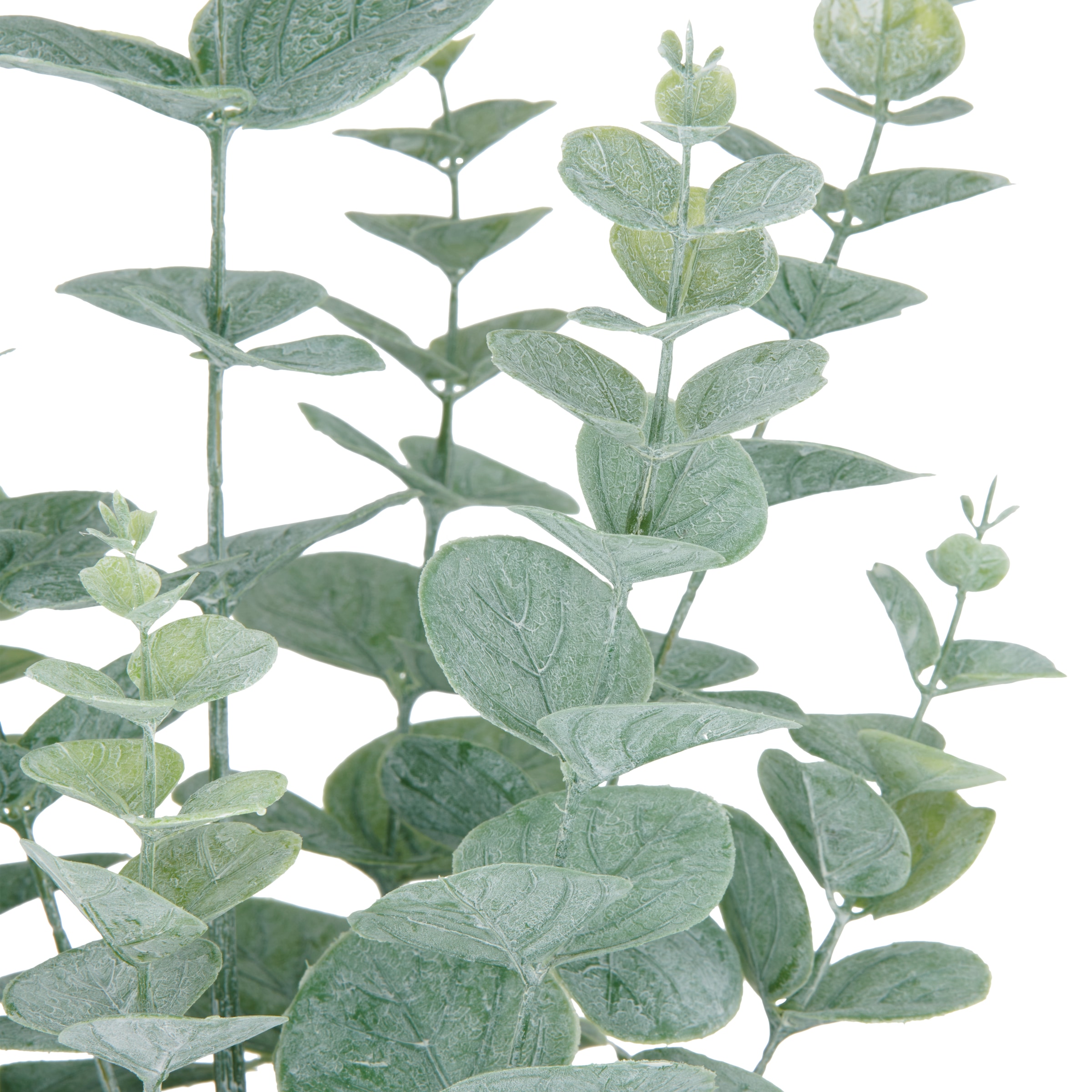 Creativ green Kunstpflanze »Eukalyptus«, mit üppigem Blattwerk
