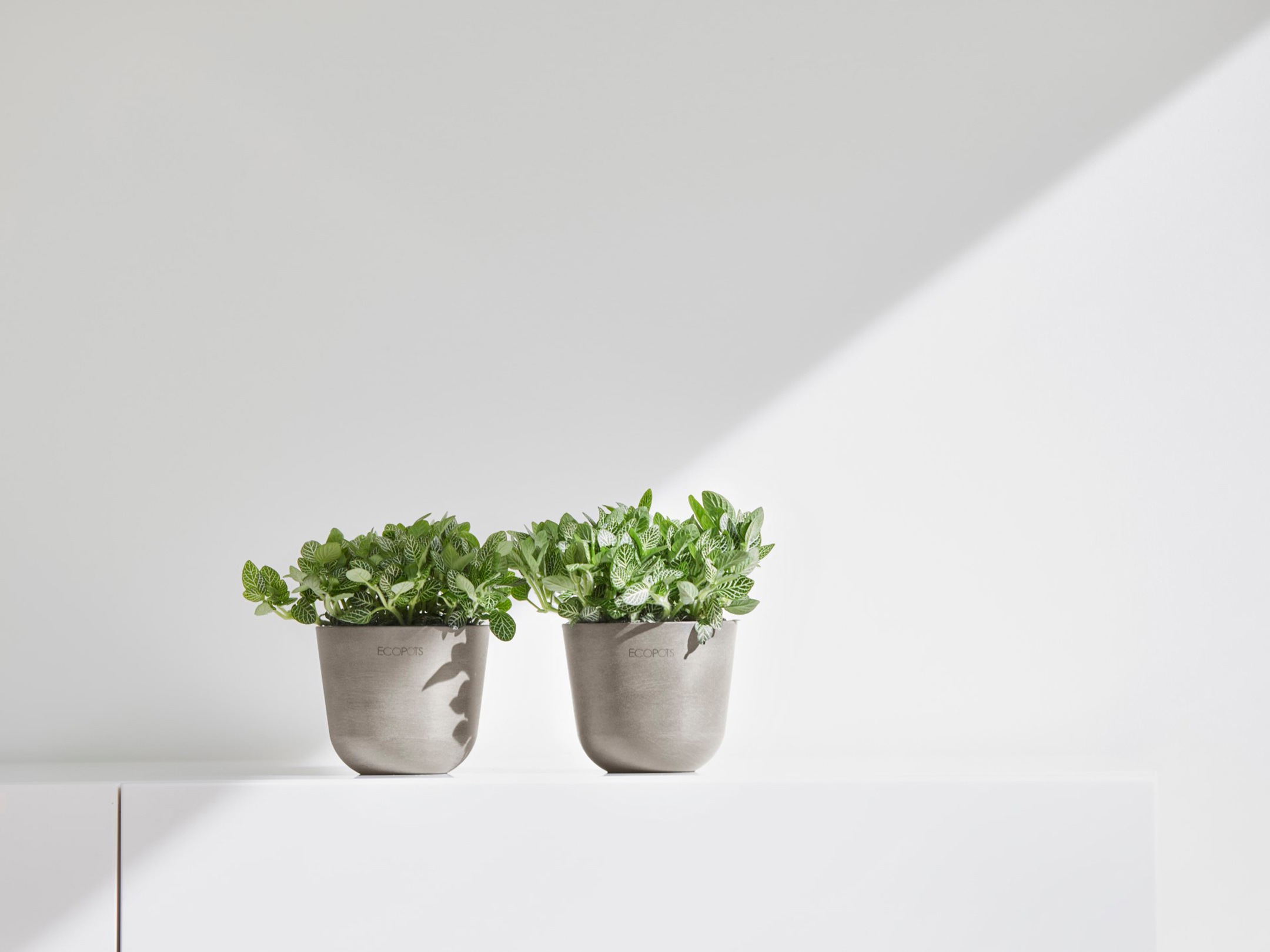 ECOPOTS Blumentopf »Oslo Mini 11,5 Taupe«, für den Innenbereich