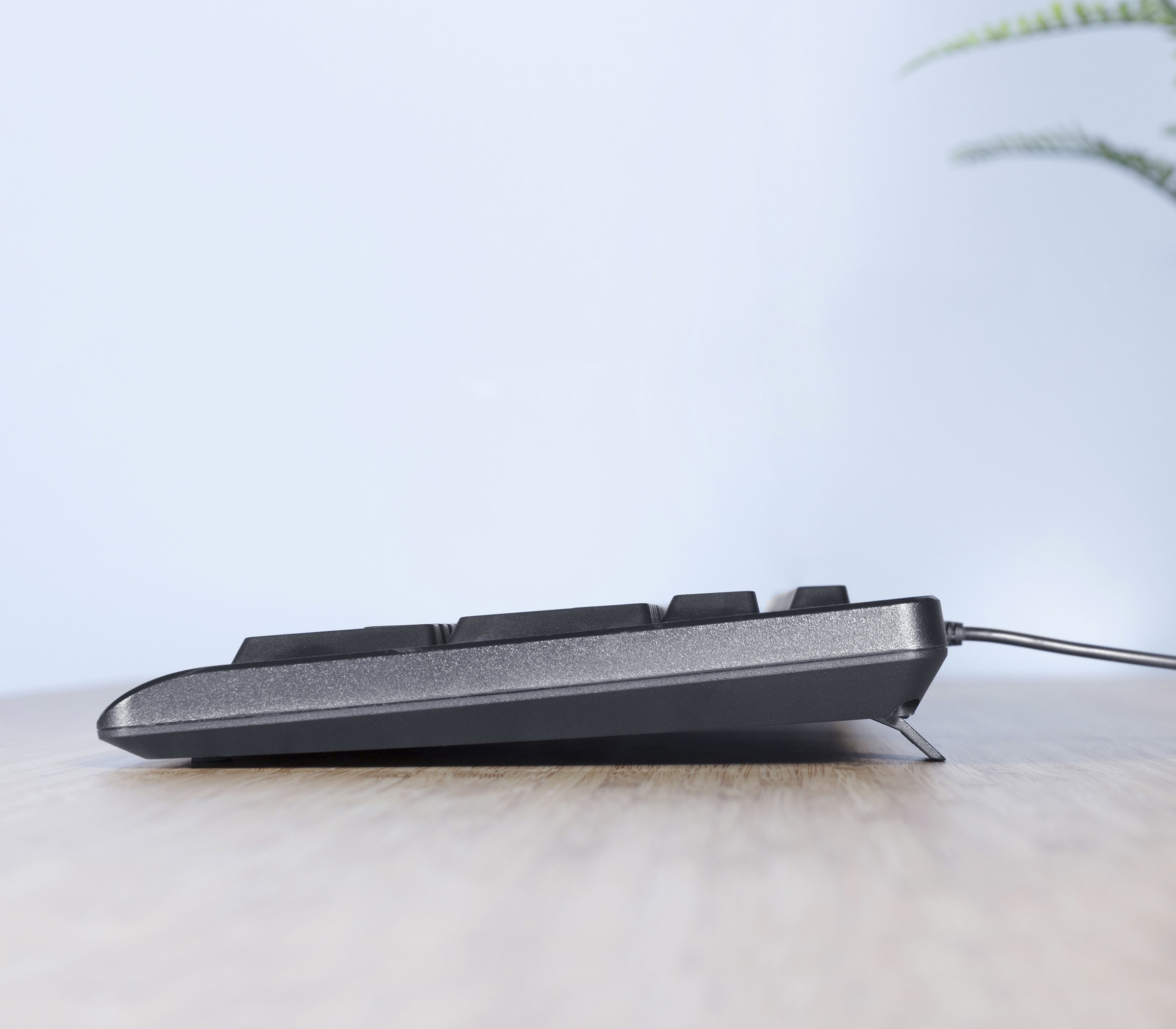 Trust PC-Tastatur »TKM-250« (USB-Anschluss | Windows-Sperrtaste | Ziffernblock)