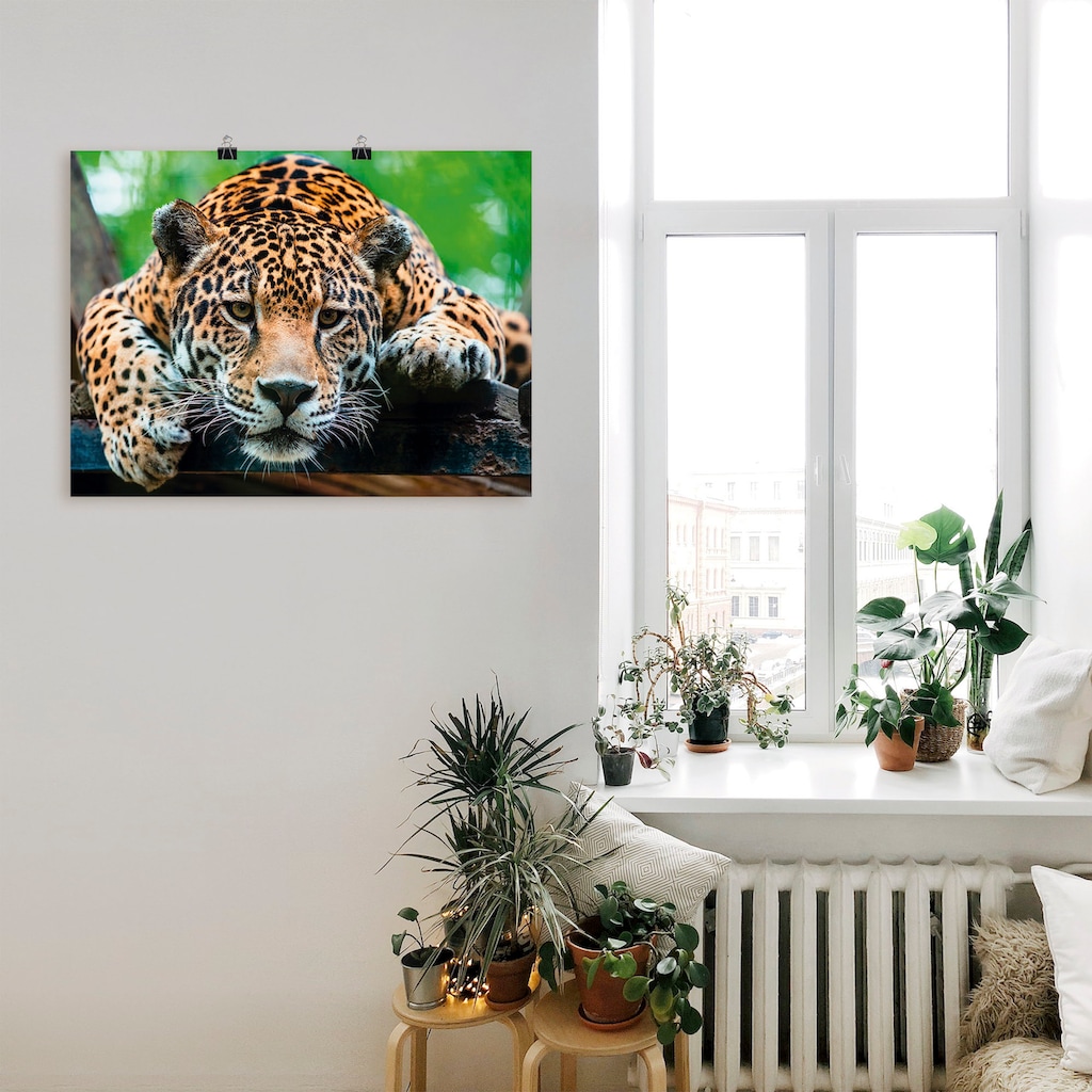 Artland Wandbild »Südamerikanischer Jaguar«, Wildtiere, (1 St.)