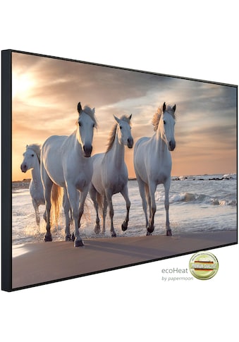 Papermoon Infrarotheizung »Pferde am strand«, sehr angenehme Strahlungswärme kaufen