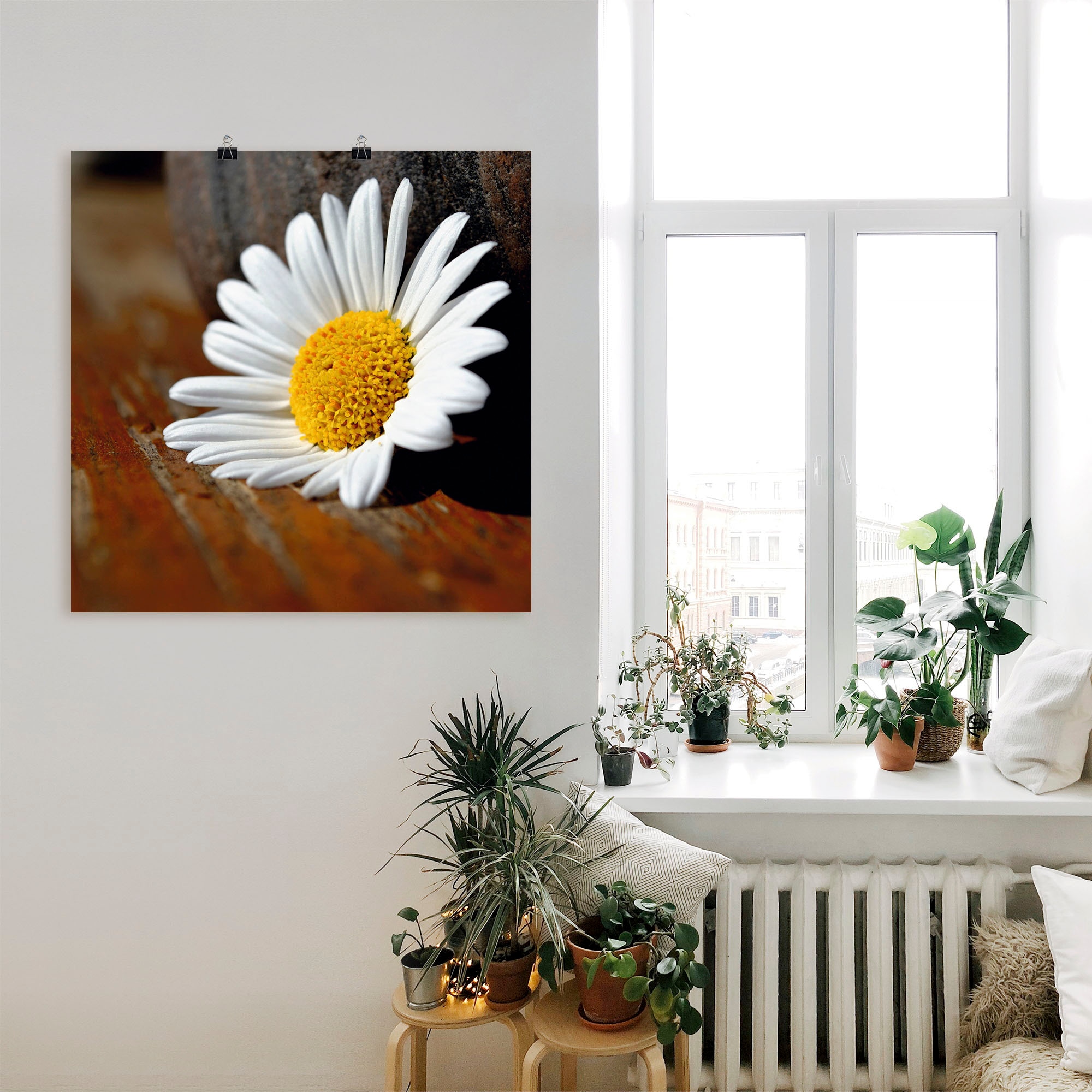 Artland Poster »Margeriten Stillleben«, Blumen, (1 St.), als Leinwandbild, Wandaufkleber oder Poster in versch. Größen