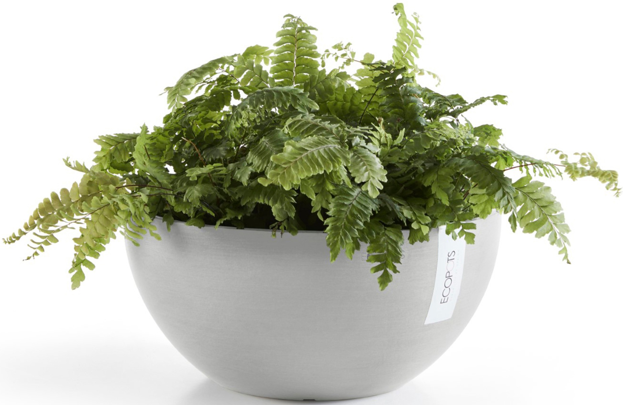 ECOPOTS Blumentopf »Brussels 35 Weißgrau«, für innen und außen: frostsicher, bruchsicher und lichtbeständig