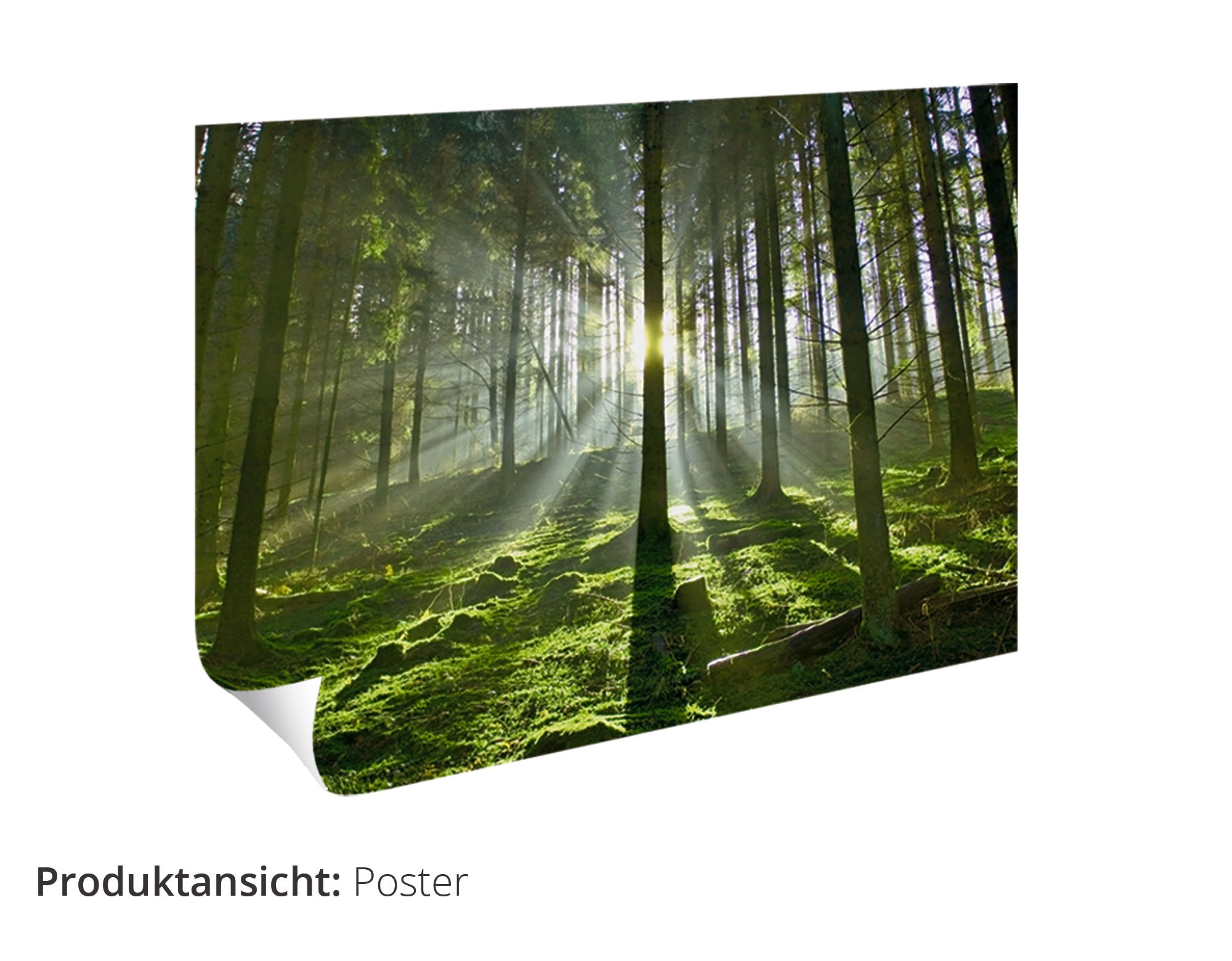 Artland Wandbild »Die schöne in Rot«, Frau, (1 St.), als Leinwandbild, Poster, Wandaufkleber in verschied. Größen