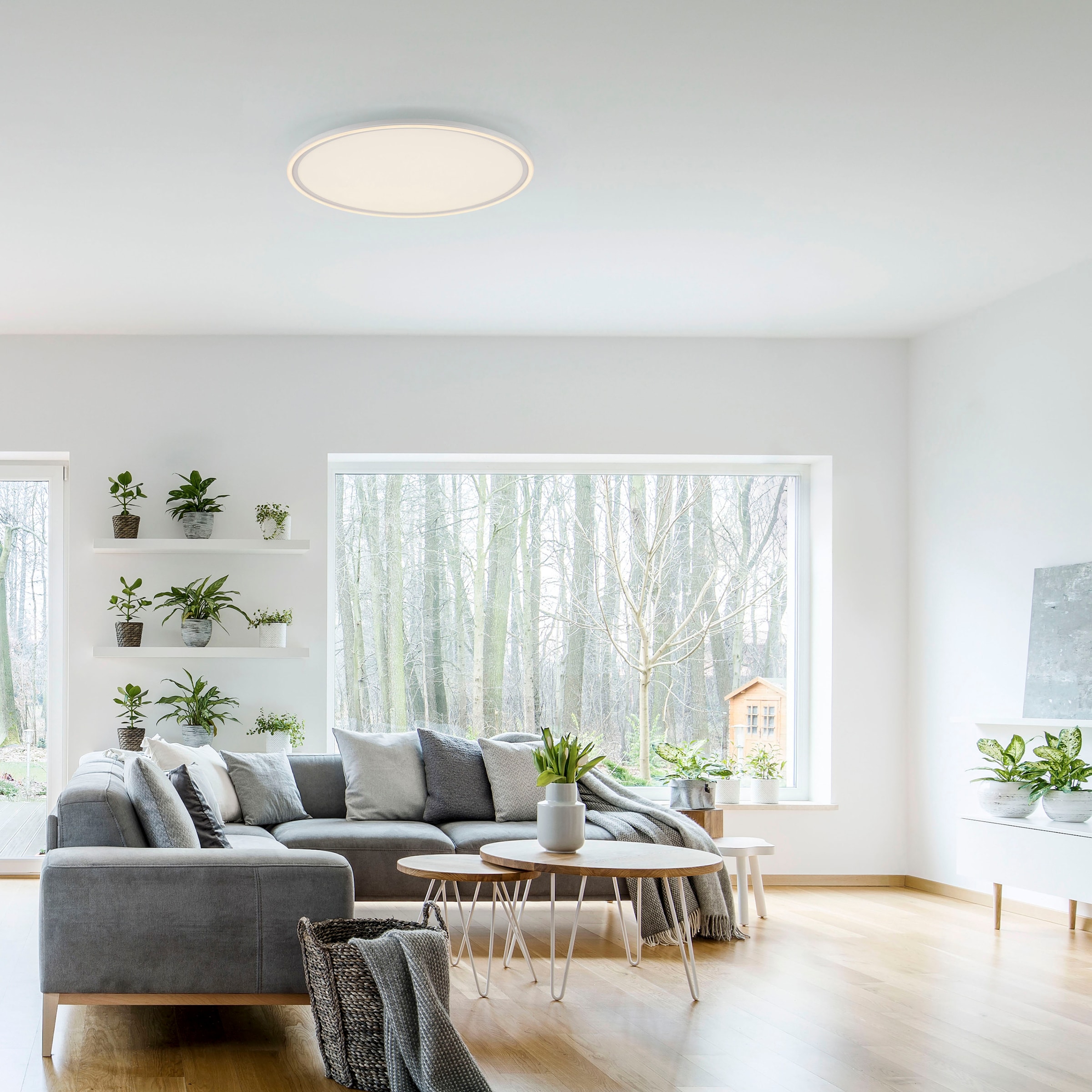 JUST LIGHT Deckenleuchte »EDGING«, 2 flammig, Leuchtmittel LED-Board-LED-Board | LED fest integriert-LED fest integriert, LED, Fernbedienung, Funk inkl., separat steuerbar (Schalter)