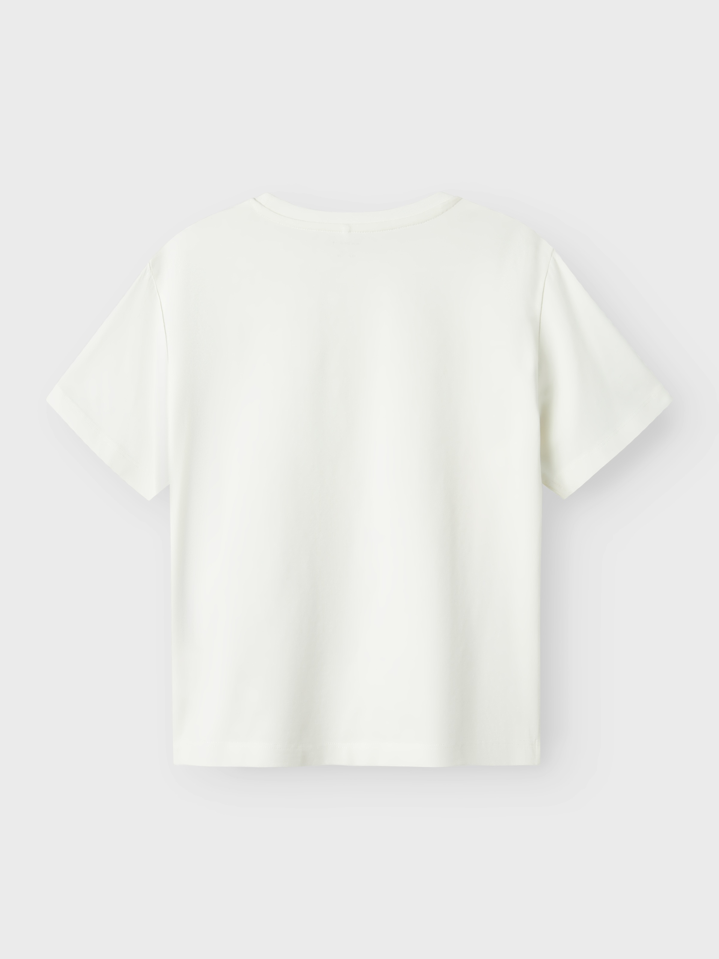 Name It T-Shirt »NKMMABR POKEMON NREG SS TOP BOX NOOS SKY«, mit großem Pokémon-Frontmotiv