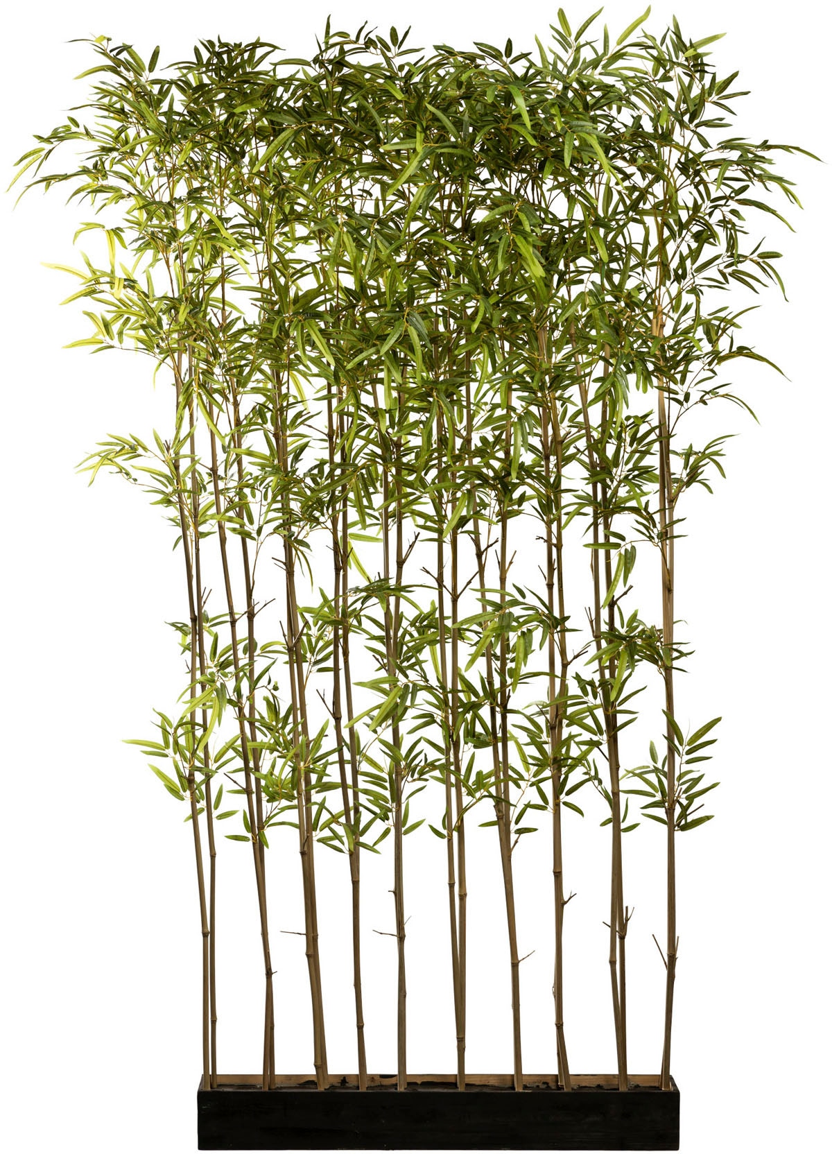 Creativ green Künstliche Zimmerpflanze »Bambusraumteiler«, im Holzkasten