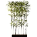 Creativ green Künstliche Zimmerpflanze »Bambusraumteiler«, (1 St.), im Holzkasten