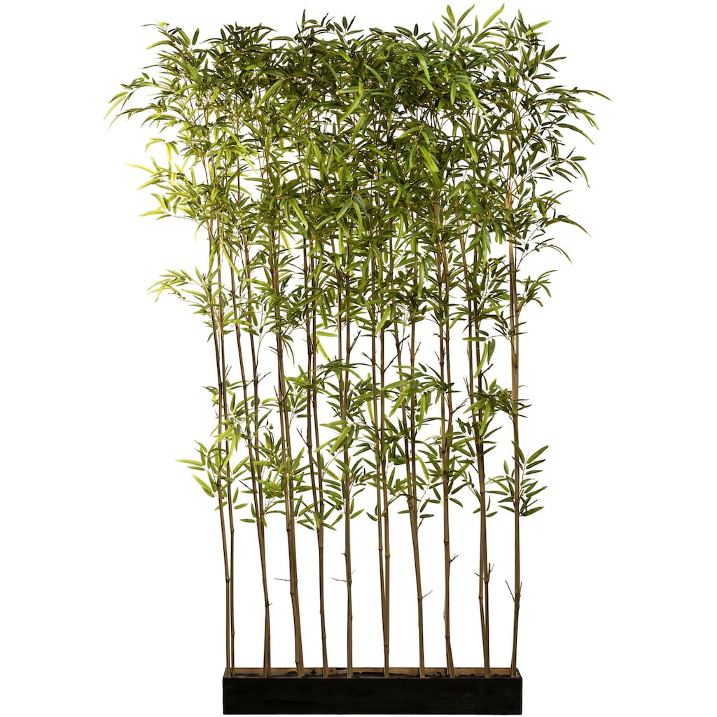 Creativ green Künstliche Zimmerpflanze »Bambusraumteiler«, (1 St.), im Holzkasten