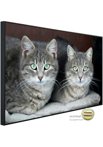 Papermoon Infrarotheizung »Grüne Augen Katzen«, sehr angenehme Strahlungswärme kaufen