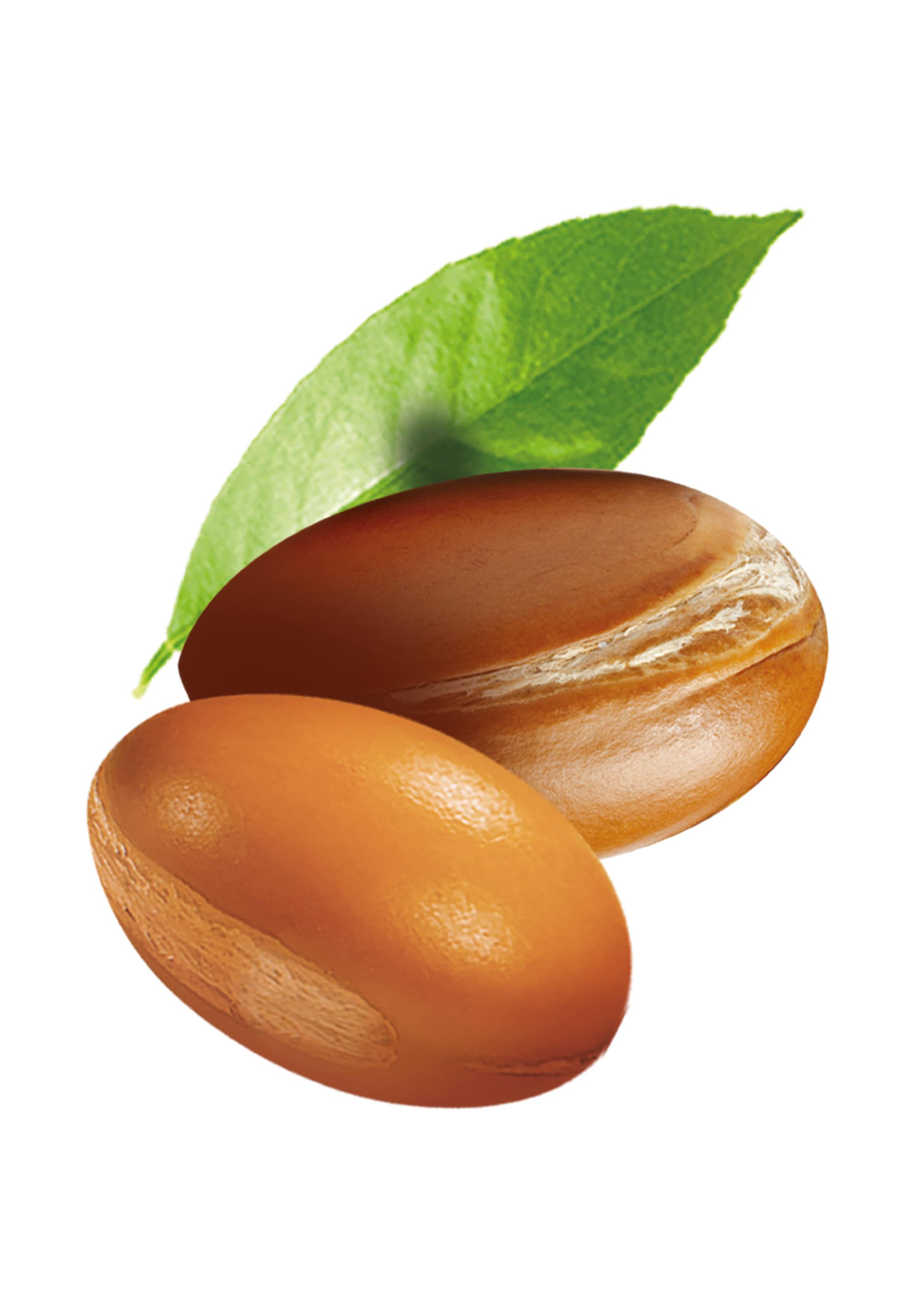 GARNIER Haaröl »Garnier Wahre Schätze Haar-Öl Argan & Camelia-Öl«